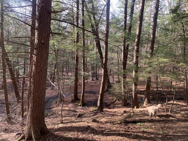 00 Brownsville Hartland Road