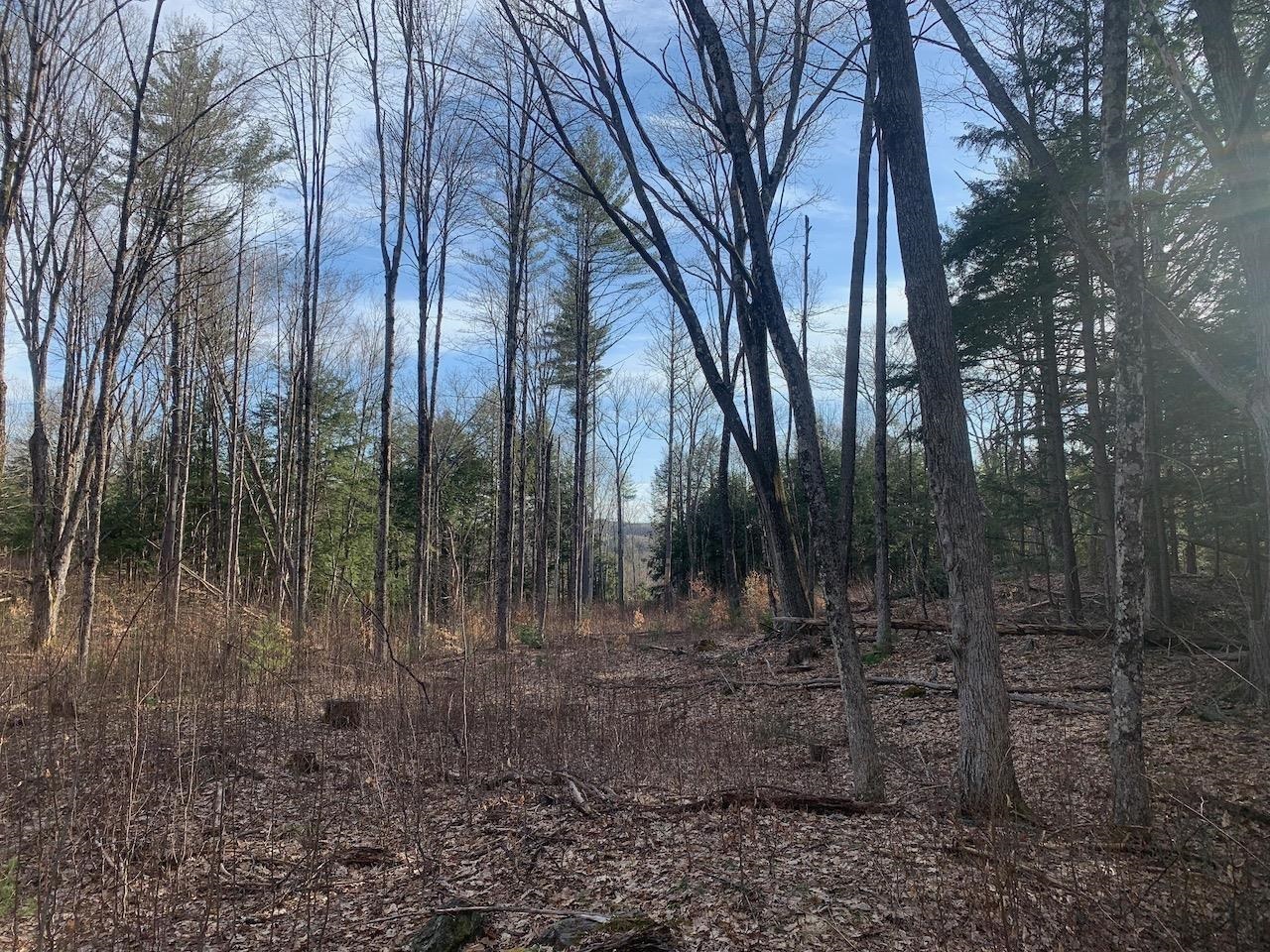 00 Brownsville Hartland Road