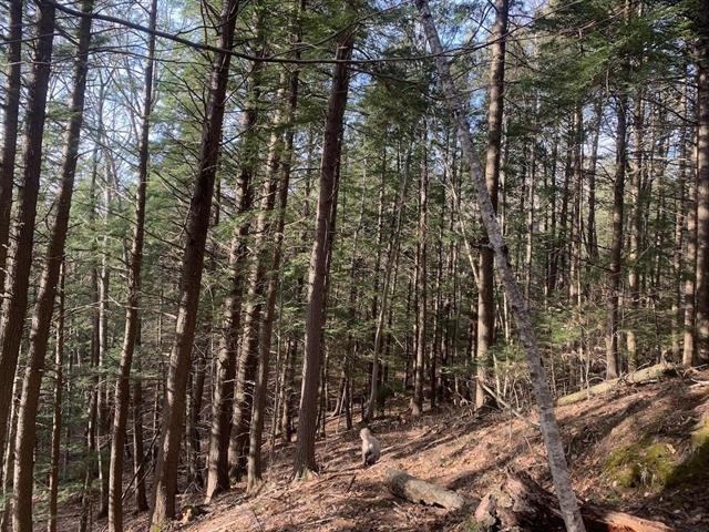 00 Brownsville Hartland Road