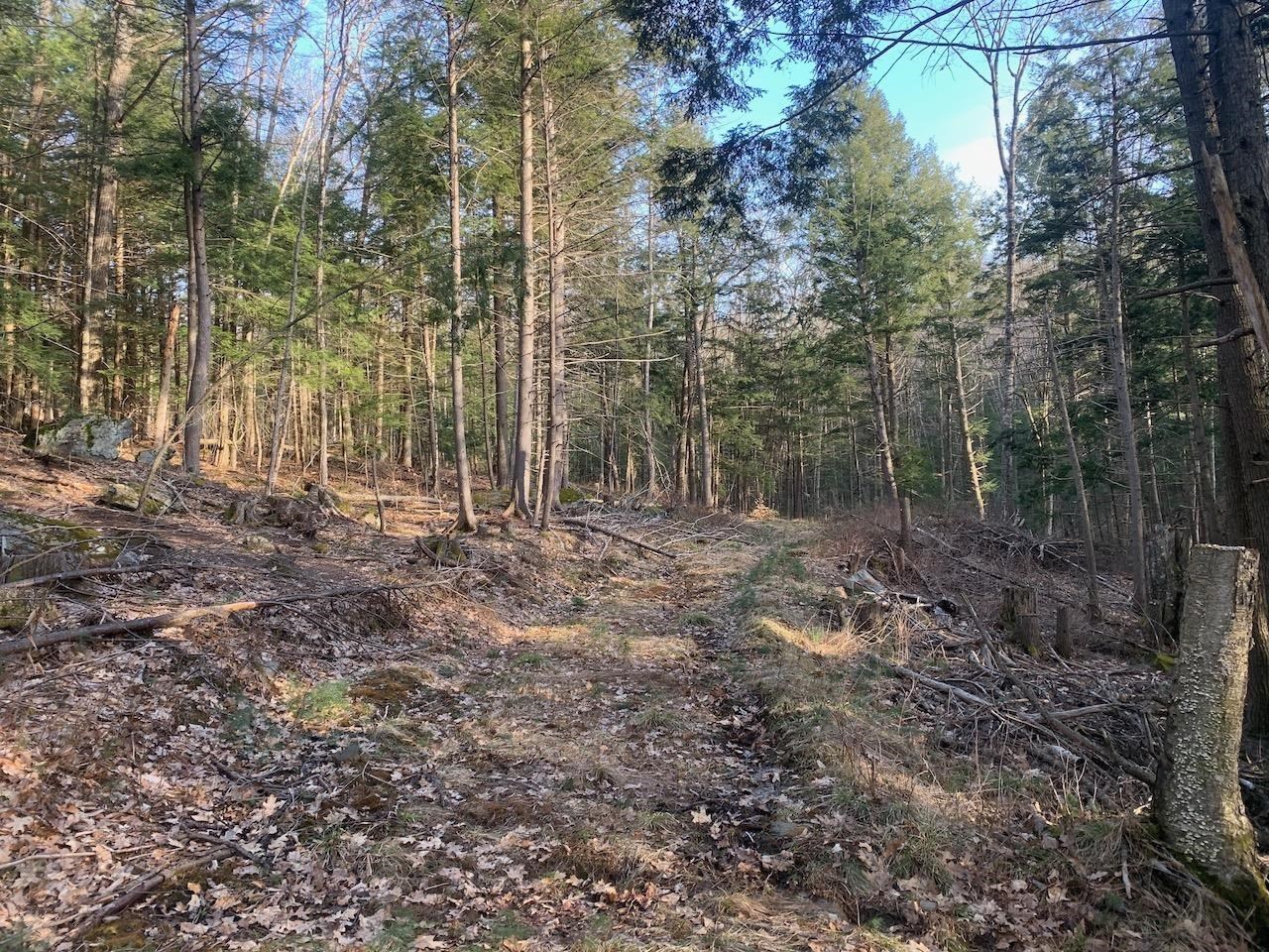 00 Brownsville Hartland Road