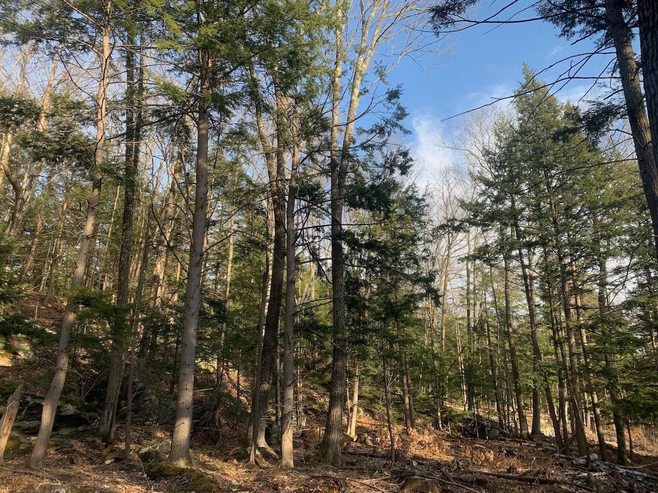 00 Brownsville Hartland Road