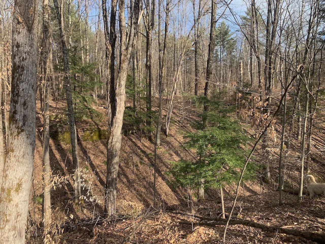 00 Brownsville Hartland Road