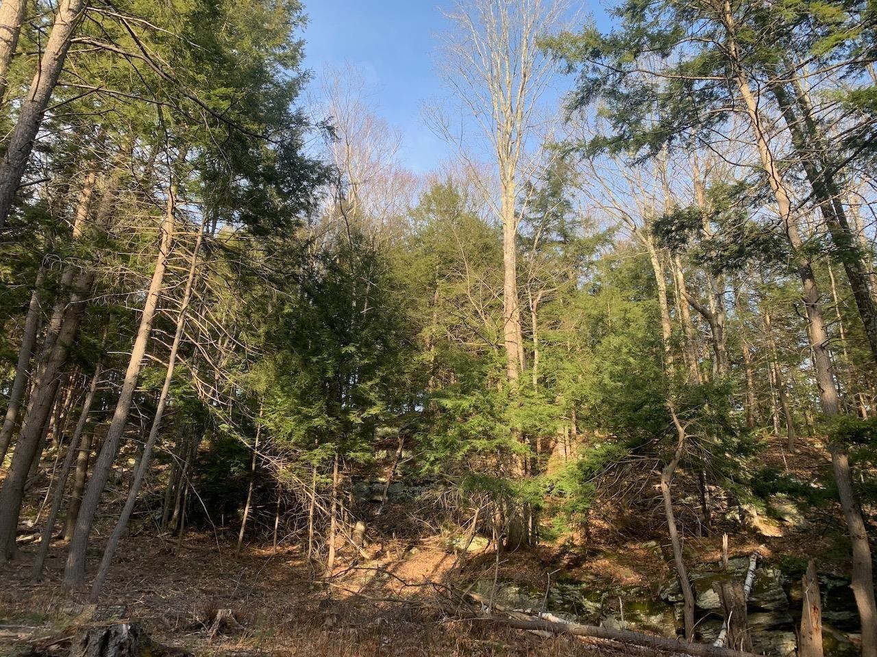 00 Brownsville Hartland Road