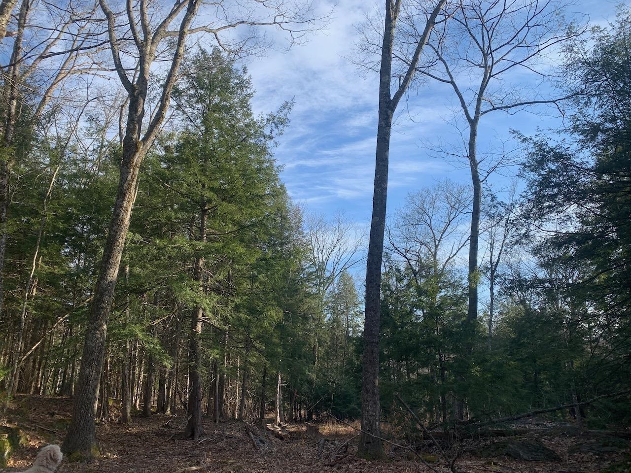 00 Brownsville Hartland Road