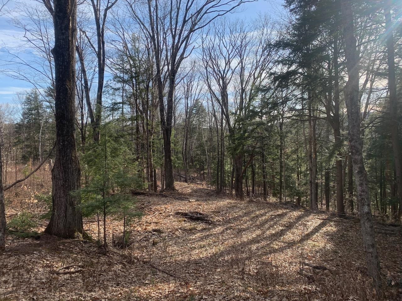 00 Brownsville Hartland Road