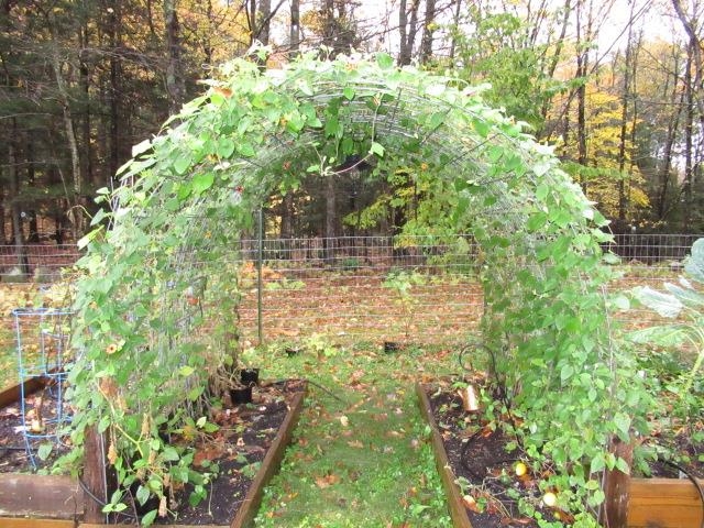 252 Davidson Hill Road