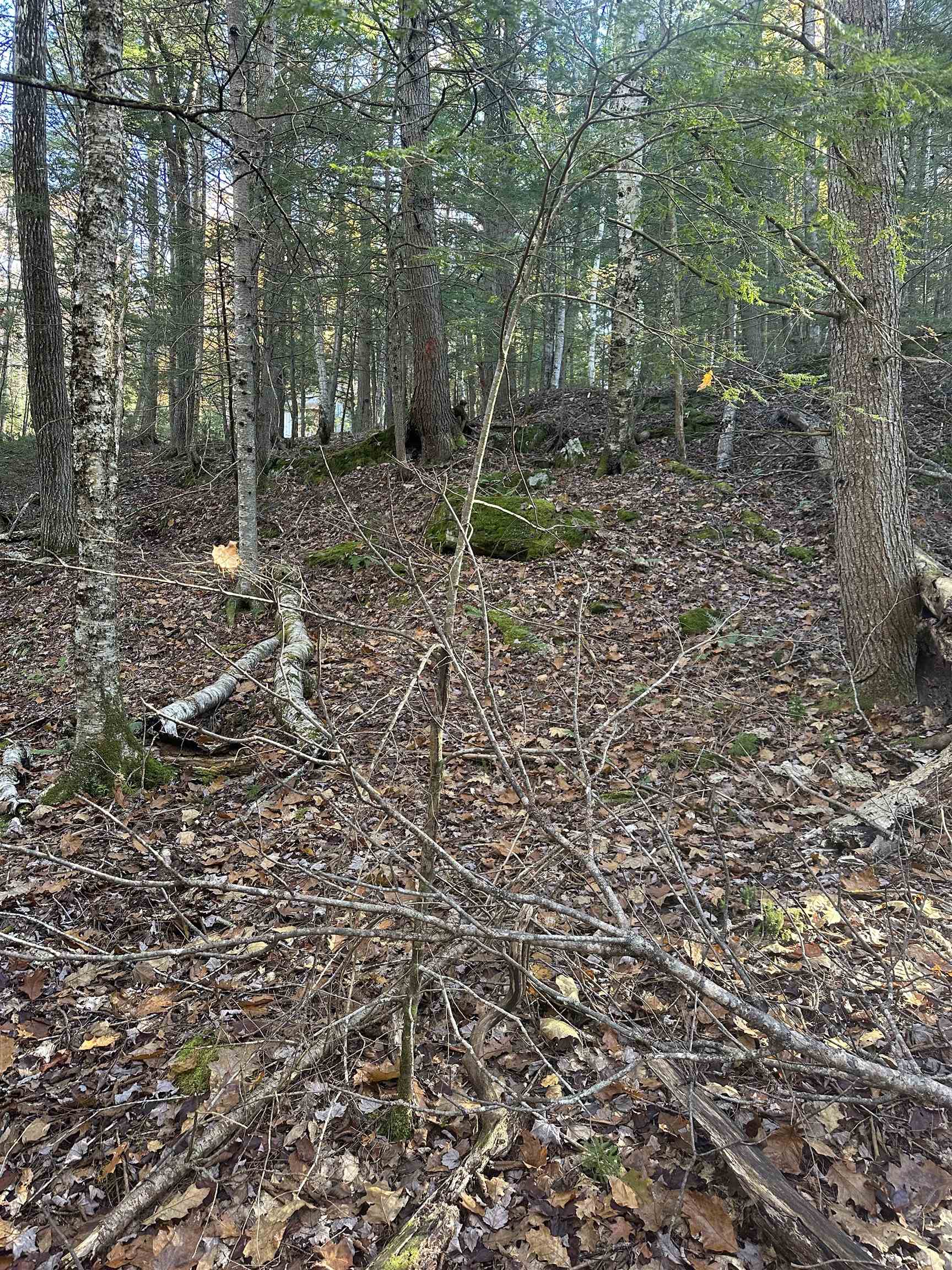 350 Mud Turtle Pond Road