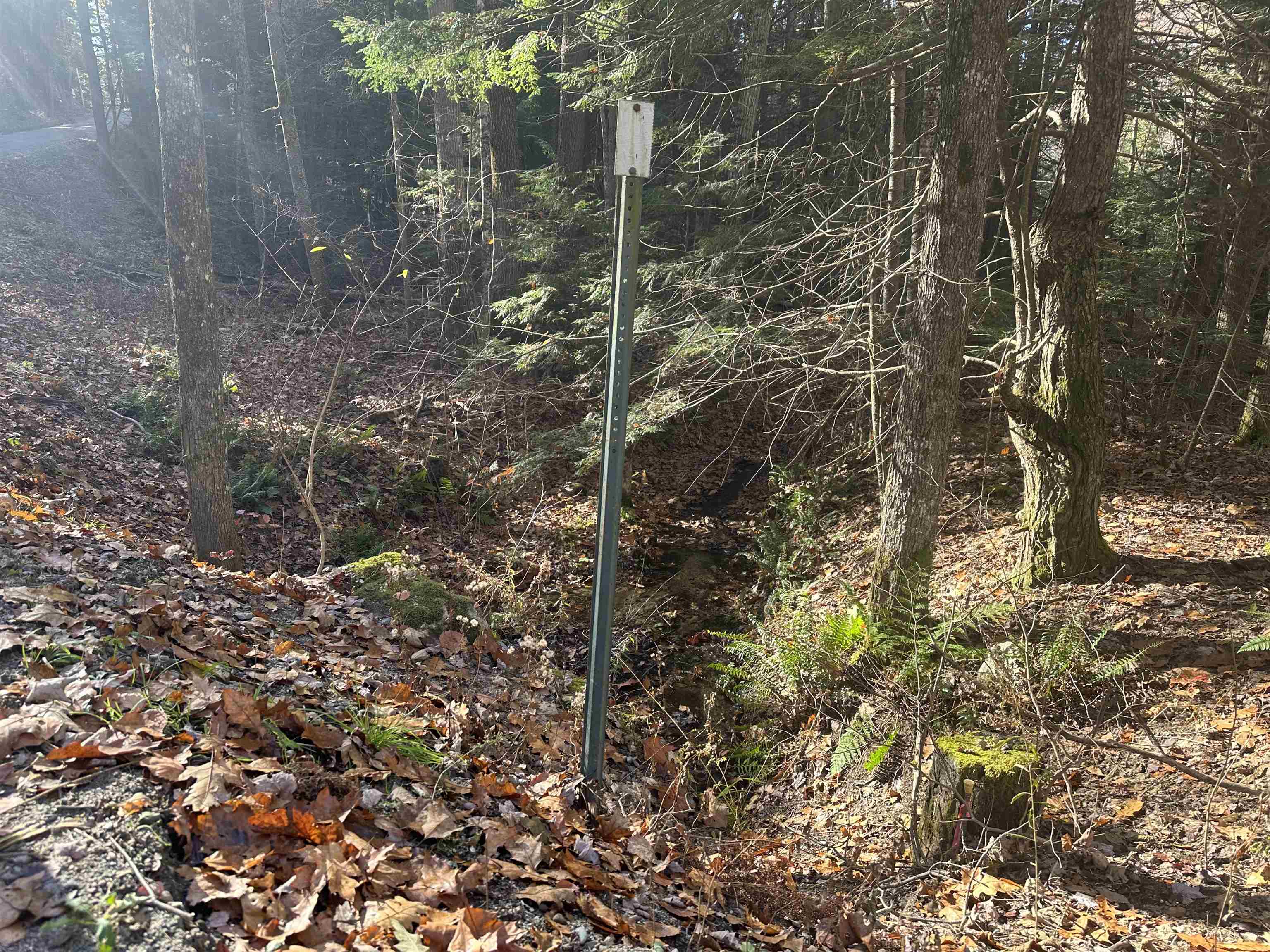 350 Mud Turtle Pond Road