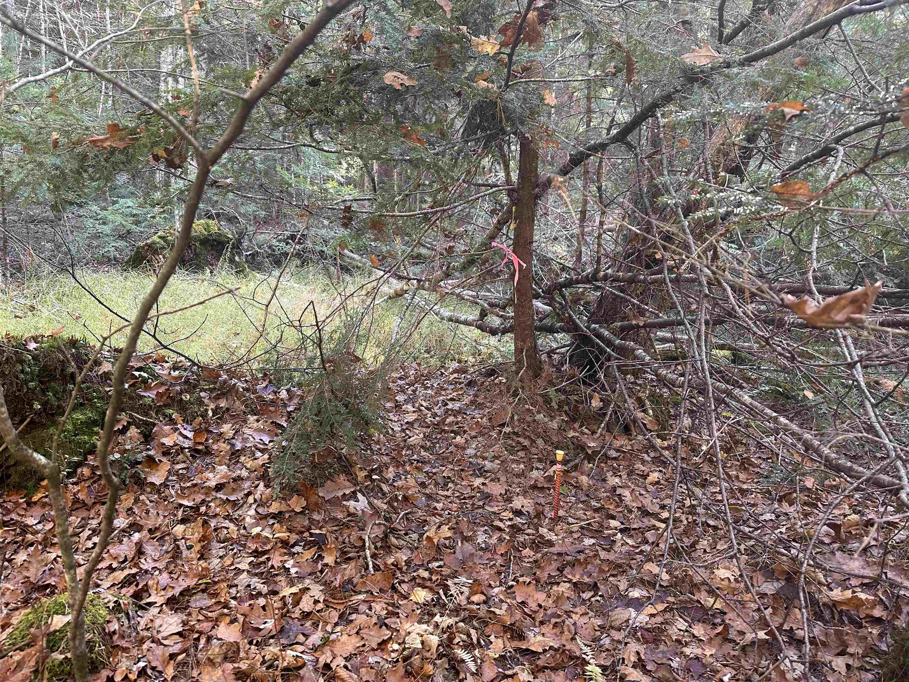 350 Mud Turtle Pond Road