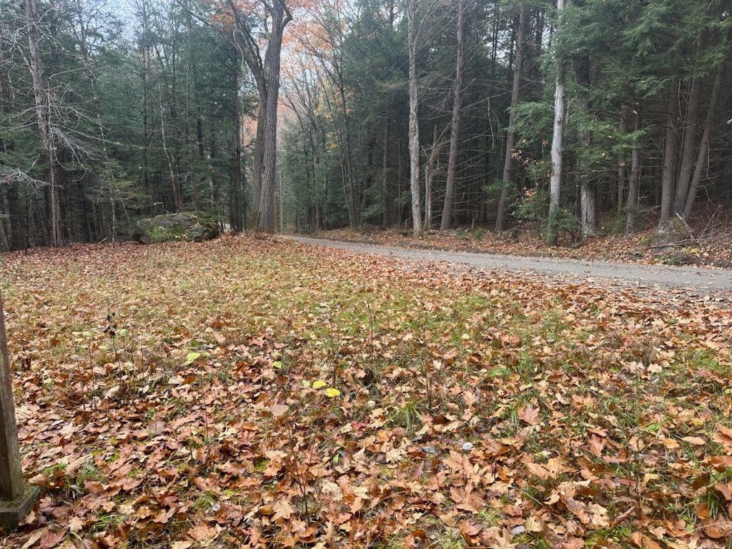 350 Mud Turtle Pond Road