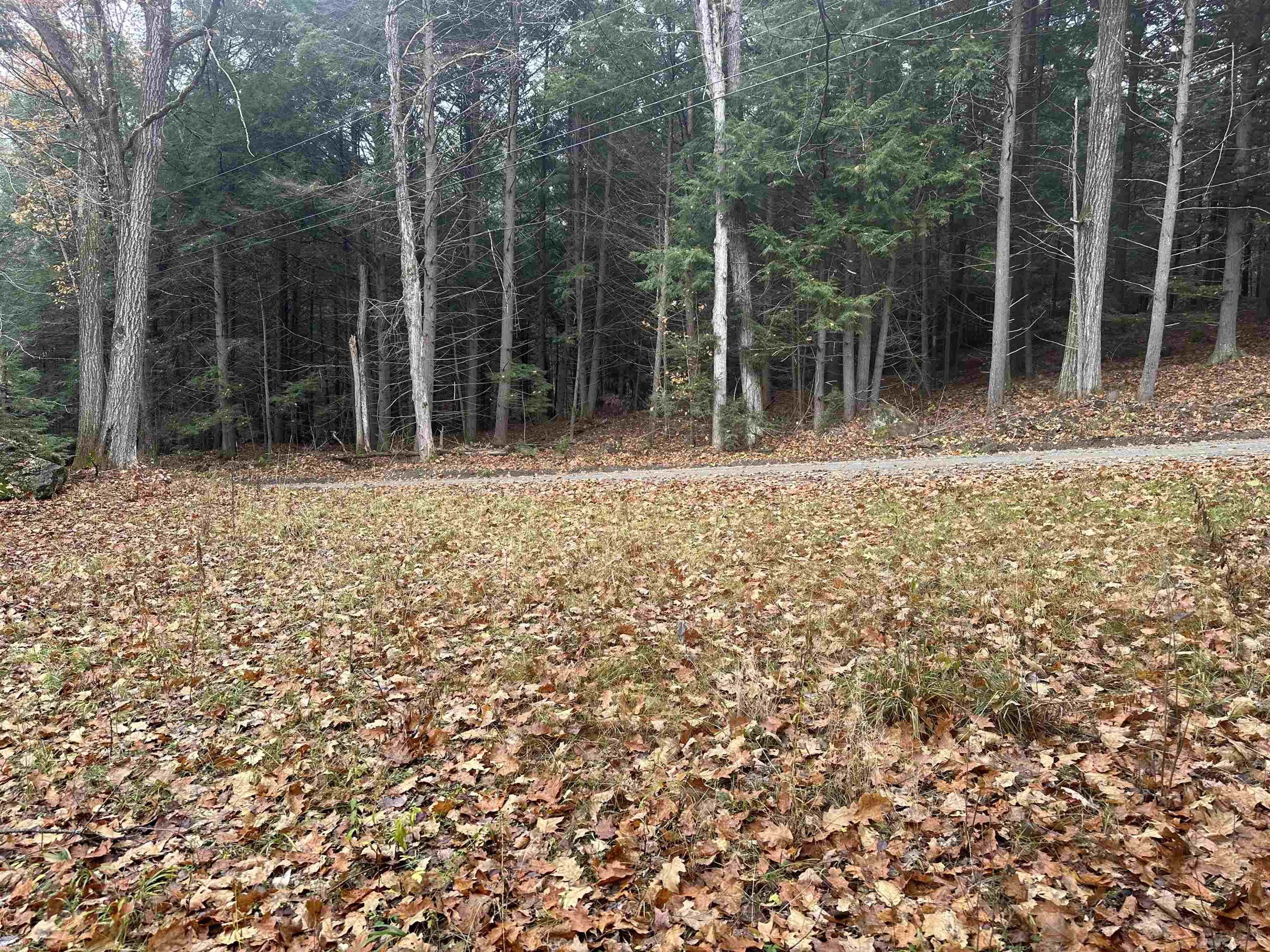 350 Mud Turtle Pond Road