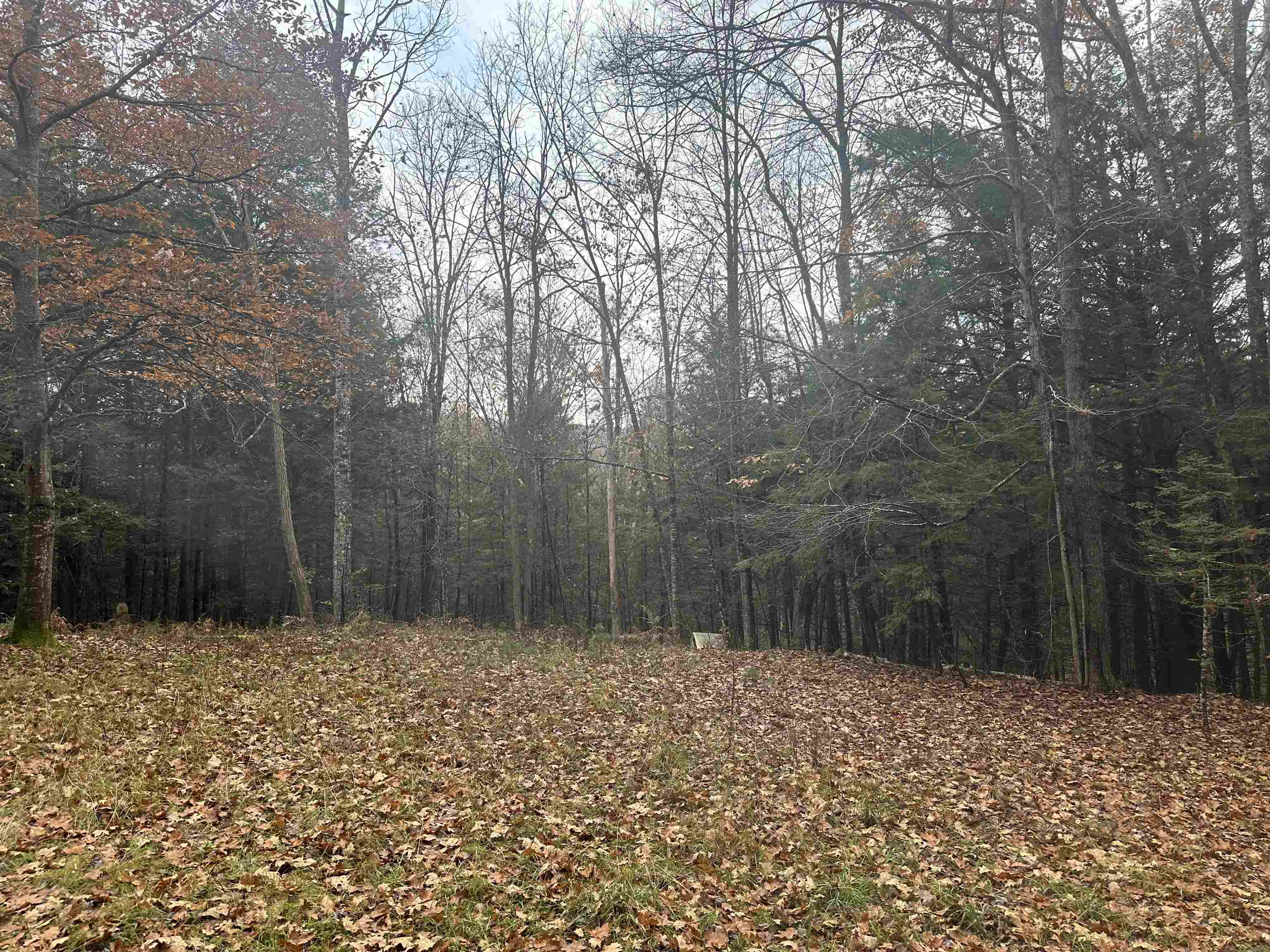 350 Mud Turtle Pond Road