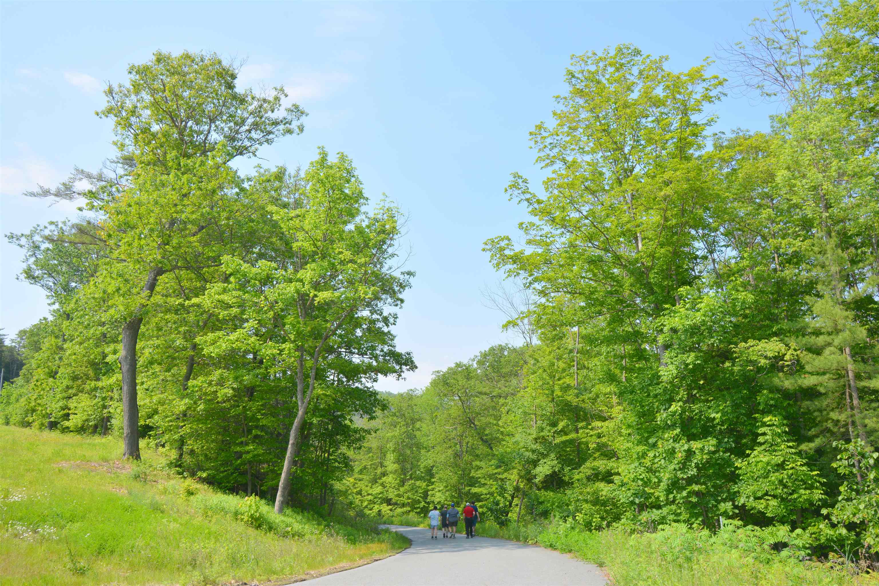 424 Dartmouth College Highway