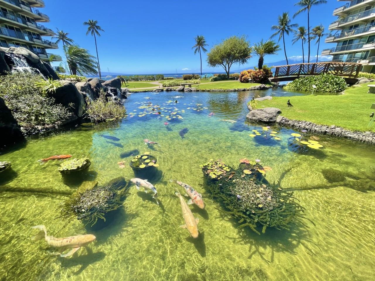 2481 Kaanapali Pkwy Unit: 269