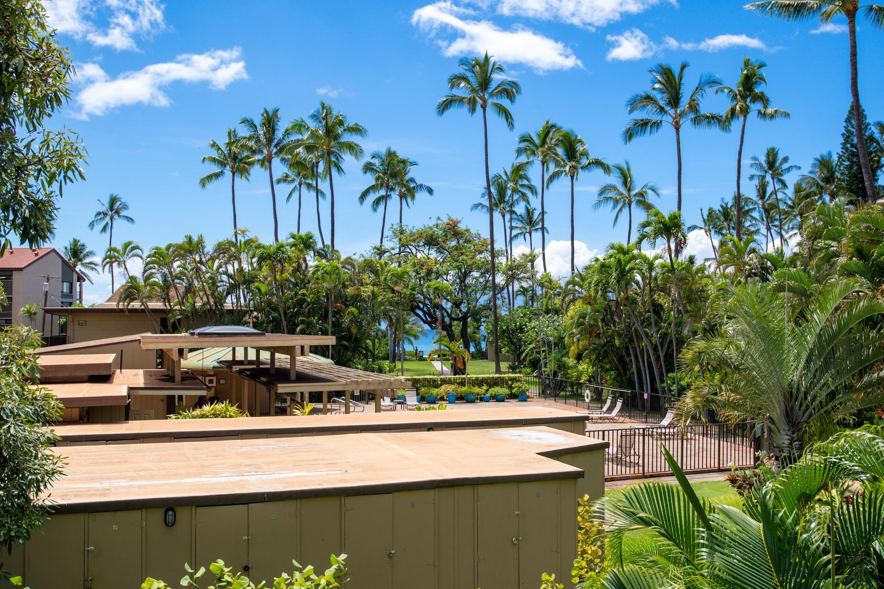 3559 Lower Honoapiilani Rd Unit: 1M