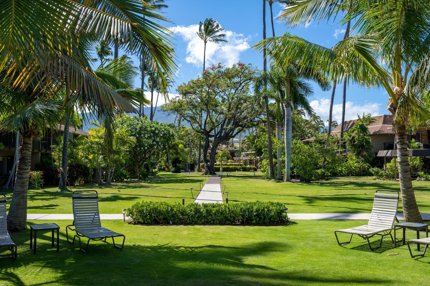 3559 Lower Honoapiilani Rd Unit: 1M