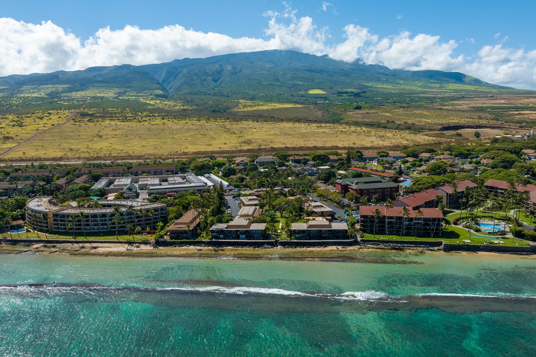 3559 Lower Honoapiilani Rd Unit: 1M