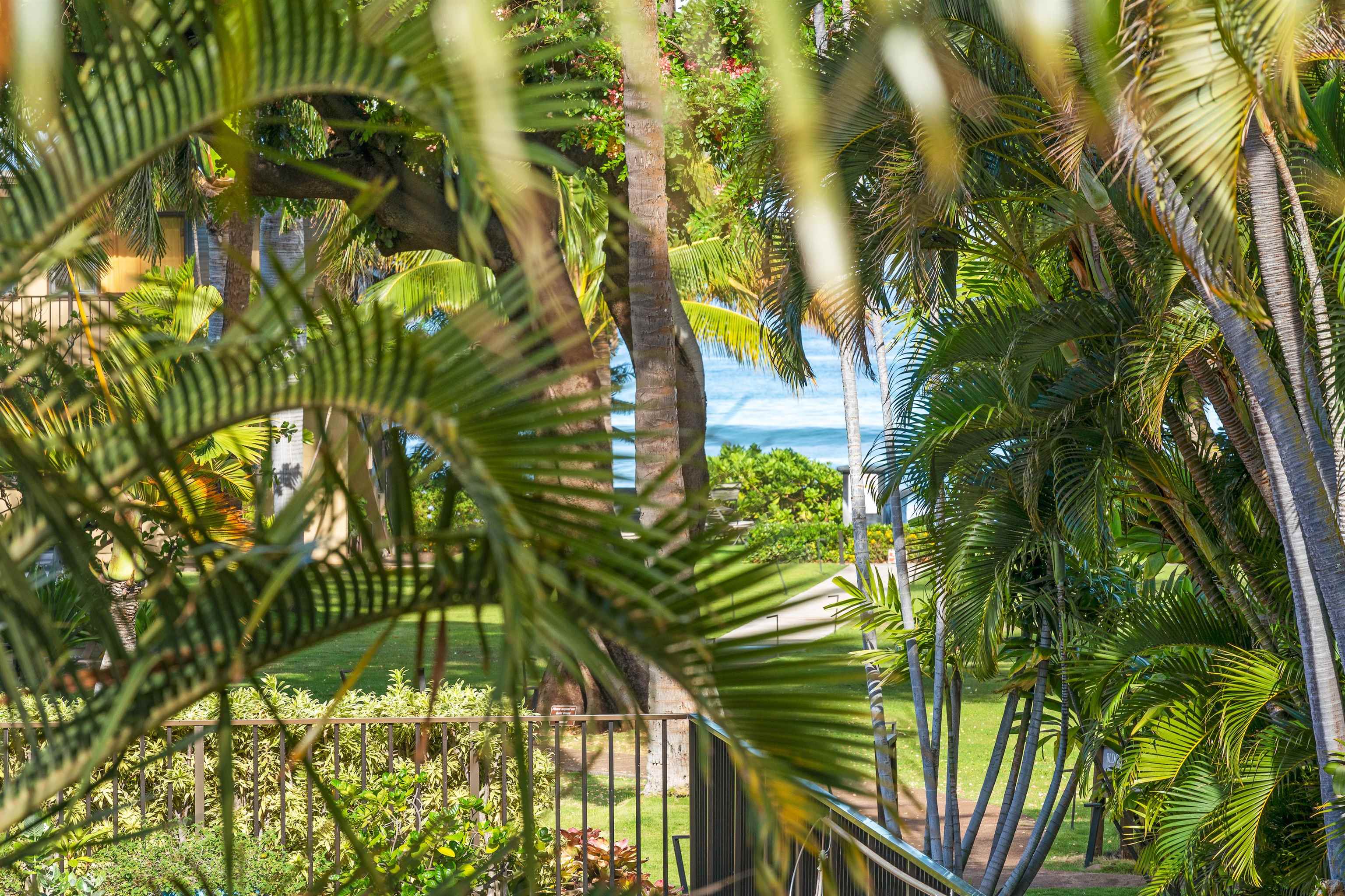 3559 Lower Honoapiilani Rd Unit: 1K