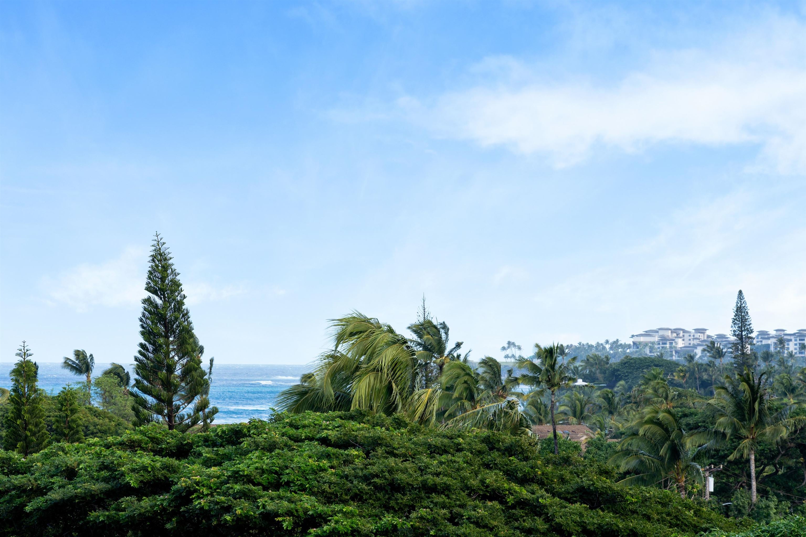 4365 Lower Honoapiilani Rd Unit: 703