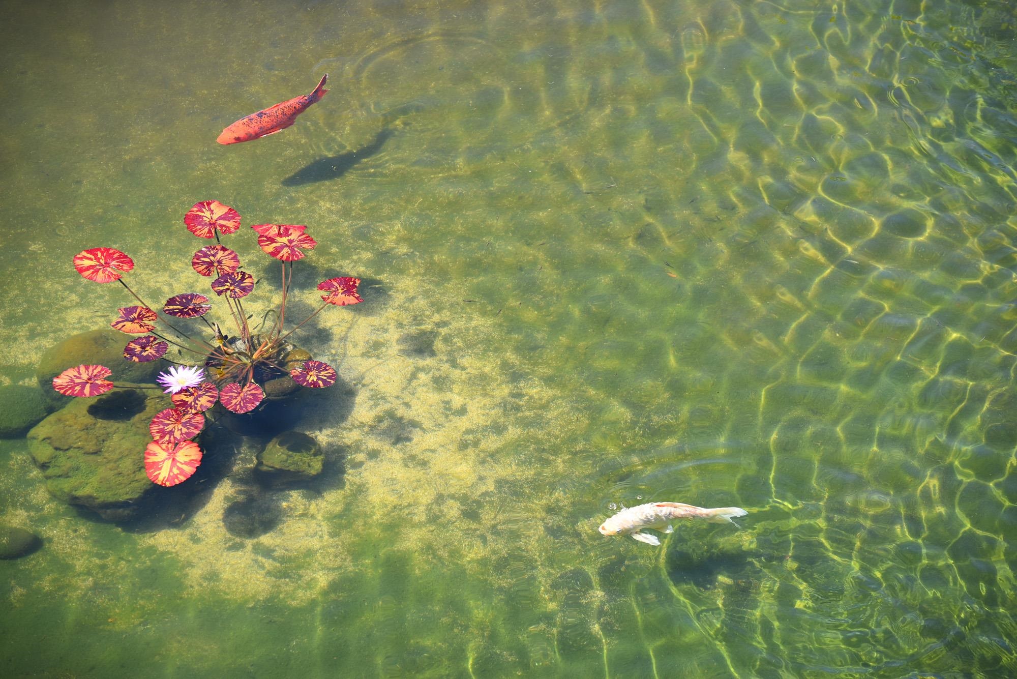 3543 Lower Honoapiilani Rd Unit: H302