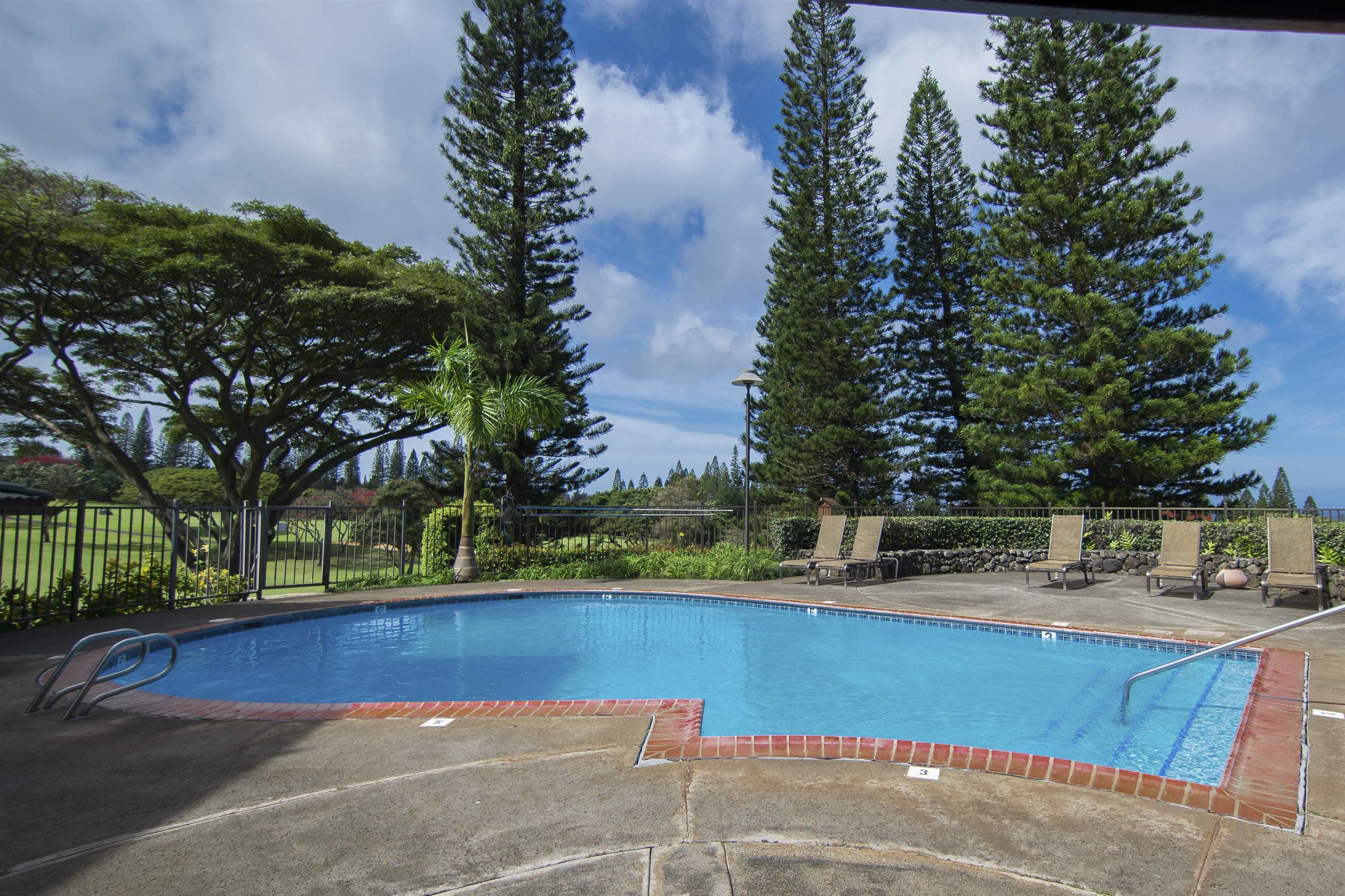 500 KAPALUA Dr Unit: 24P 7-8