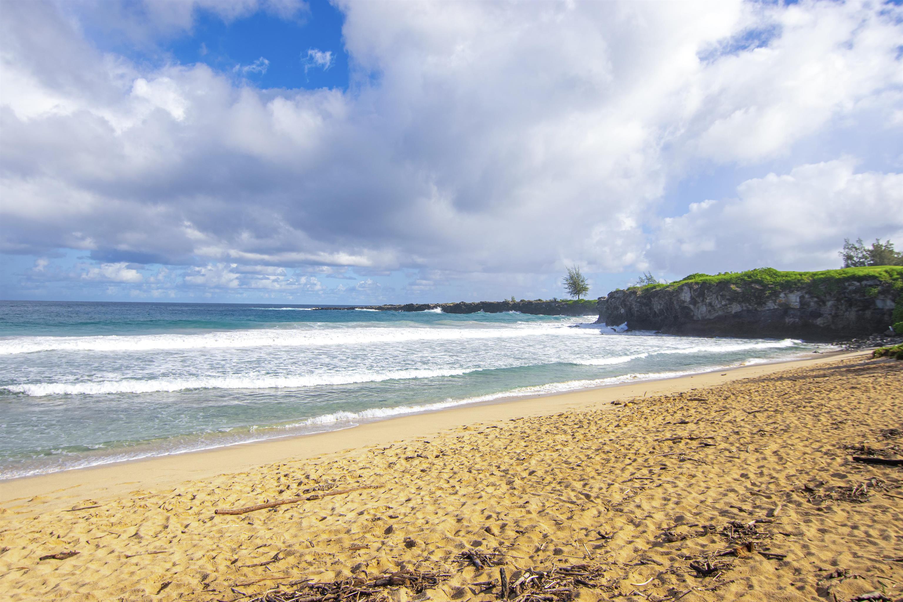 500 KAPALUA Dr Unit: 24P 7-8