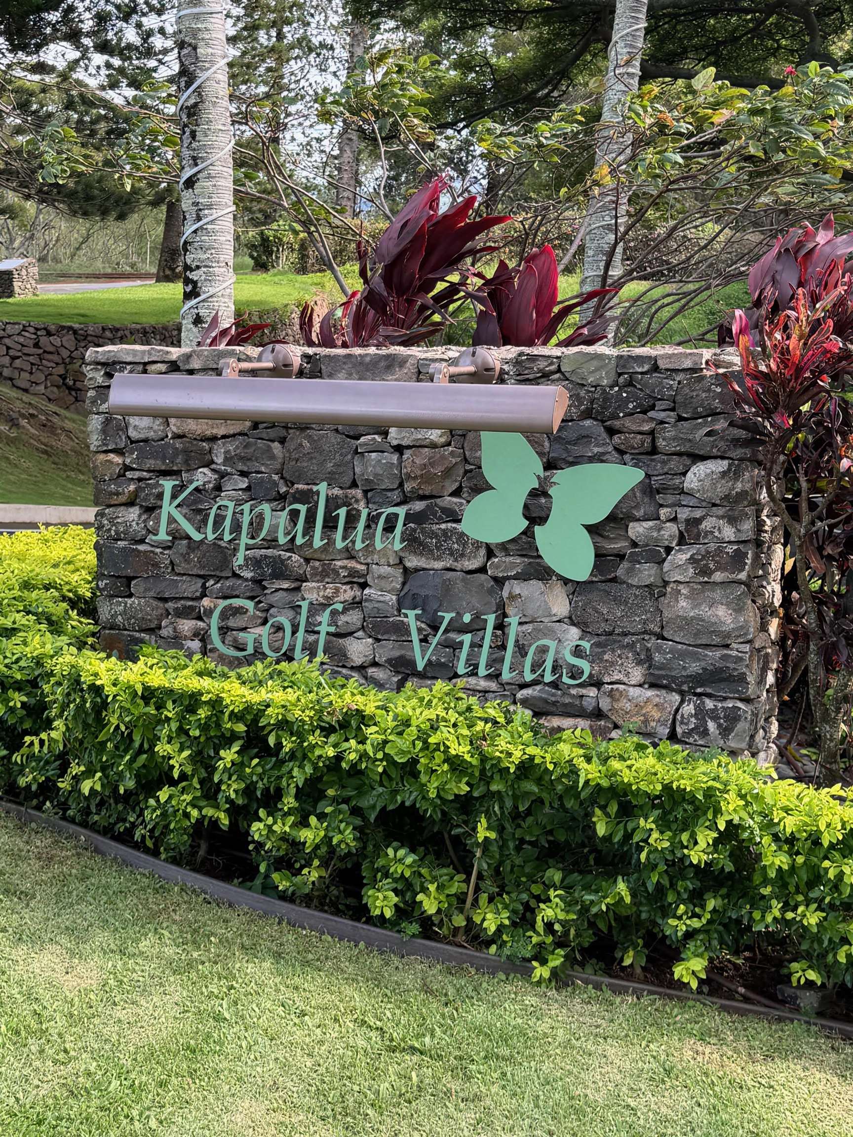 500 KAPALUA Dr Unit: 24P 7-8