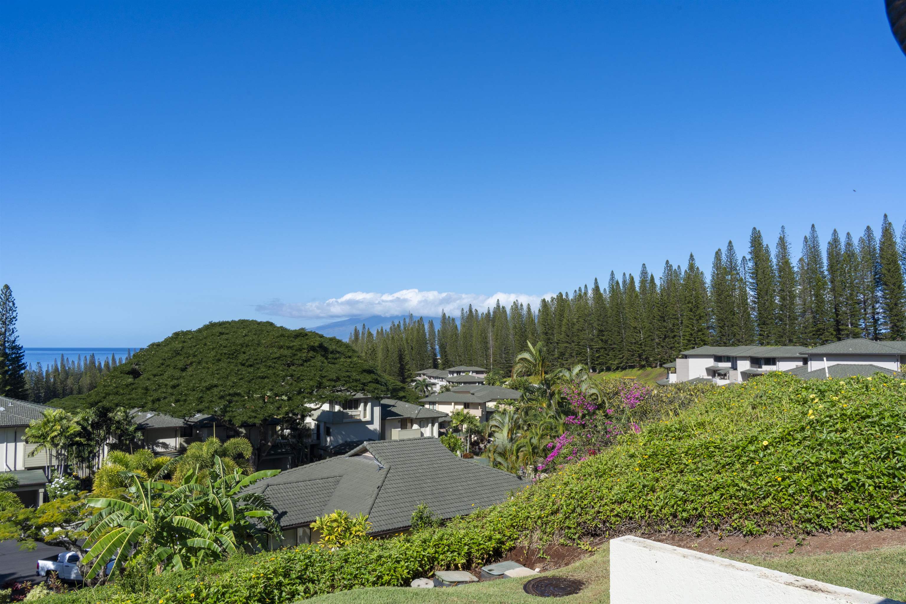 500 KAPALUA Dr Unit: 24P 7-8