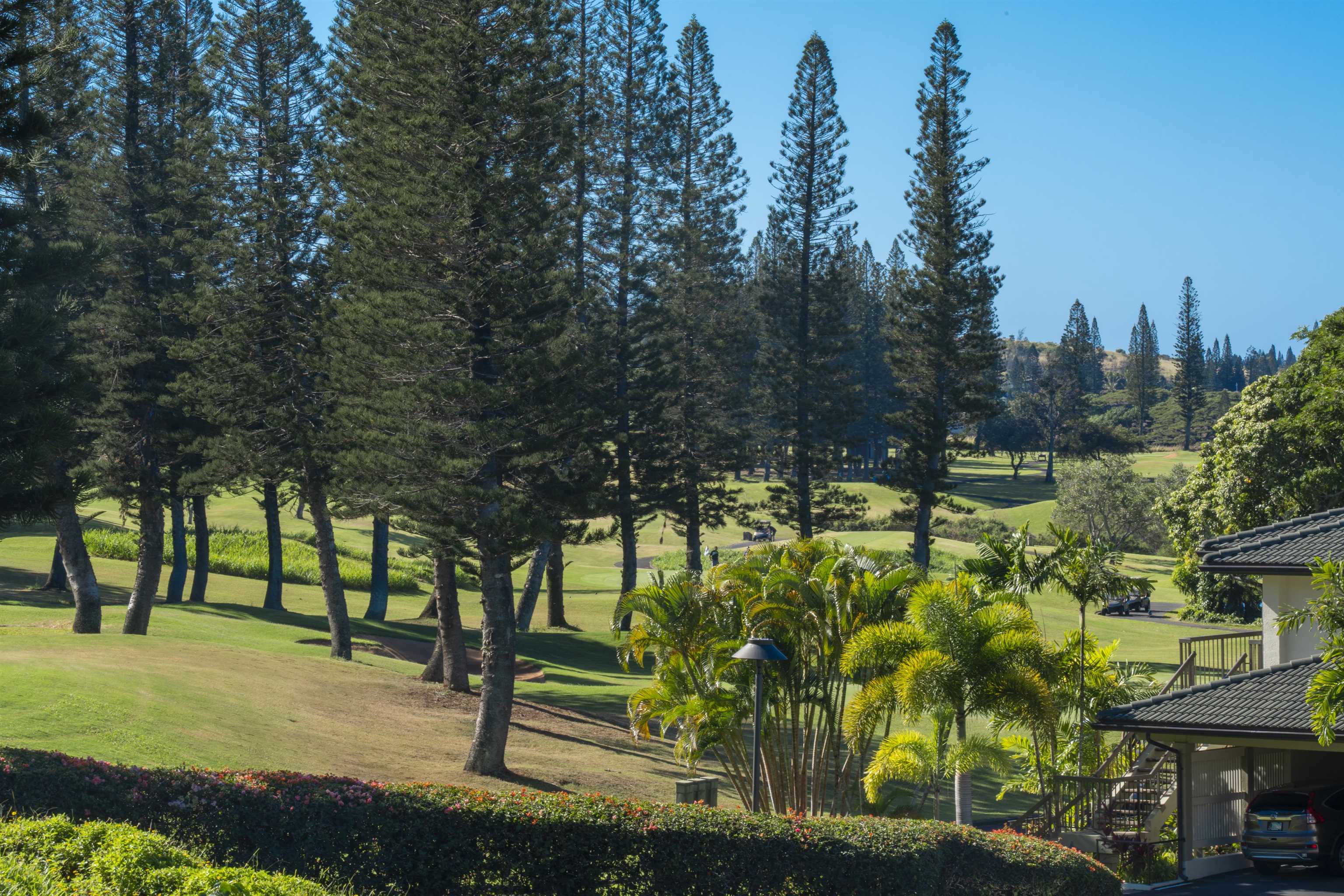 500 KAPALUA Dr Unit: 24P 7-8