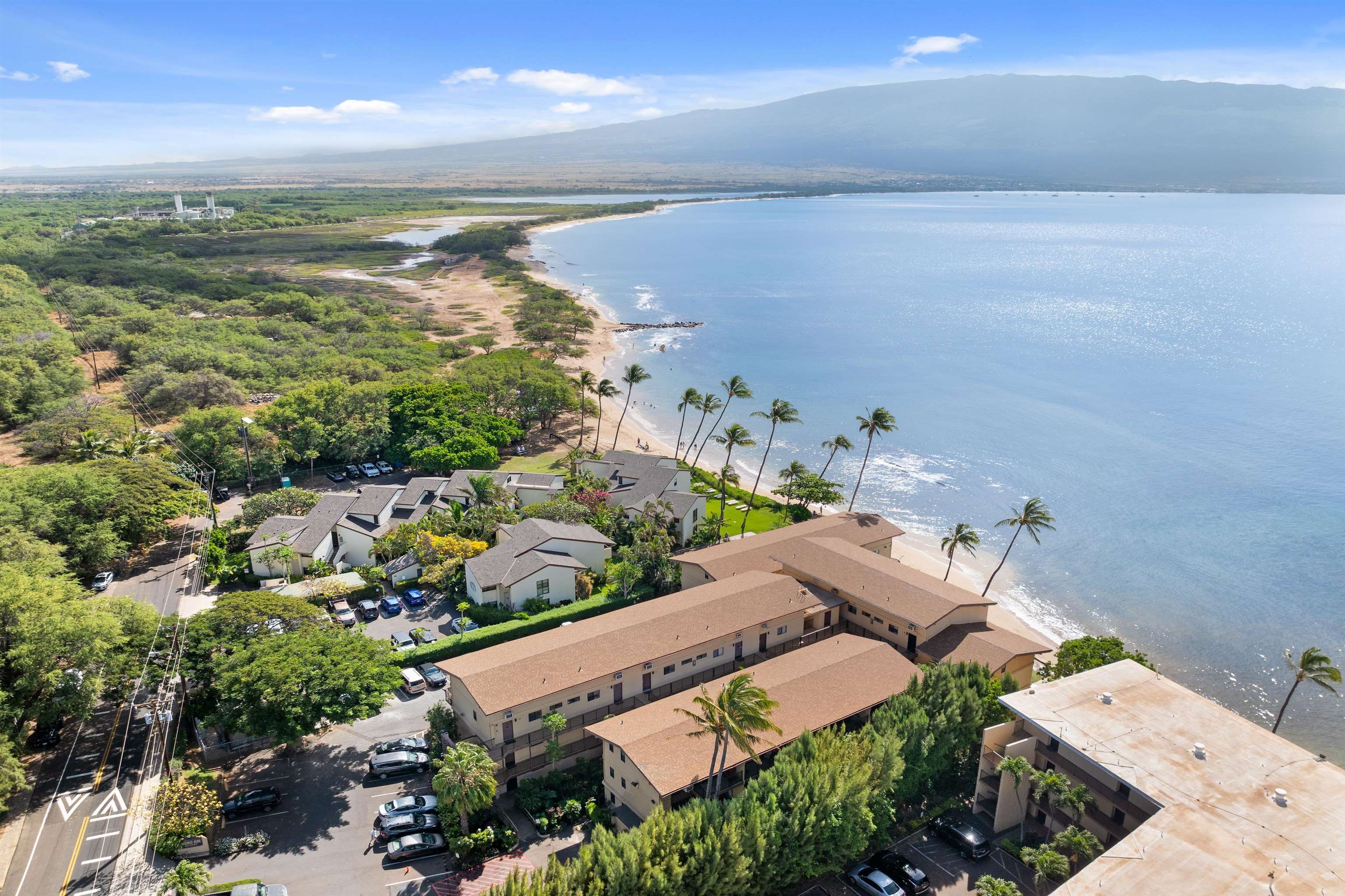 280 HAUOLI St Unit: B10