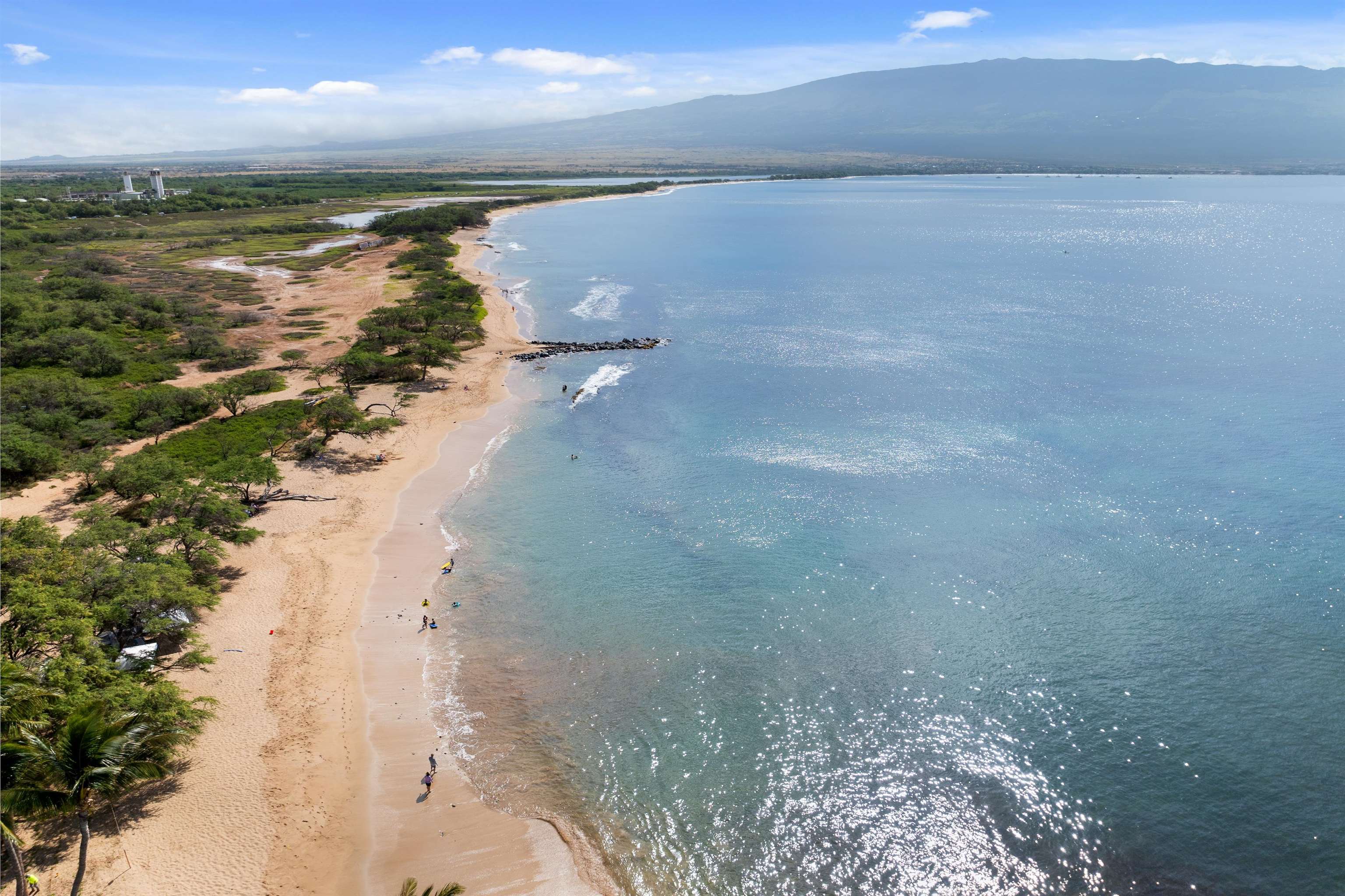 280 HAUOLI St Unit: B10