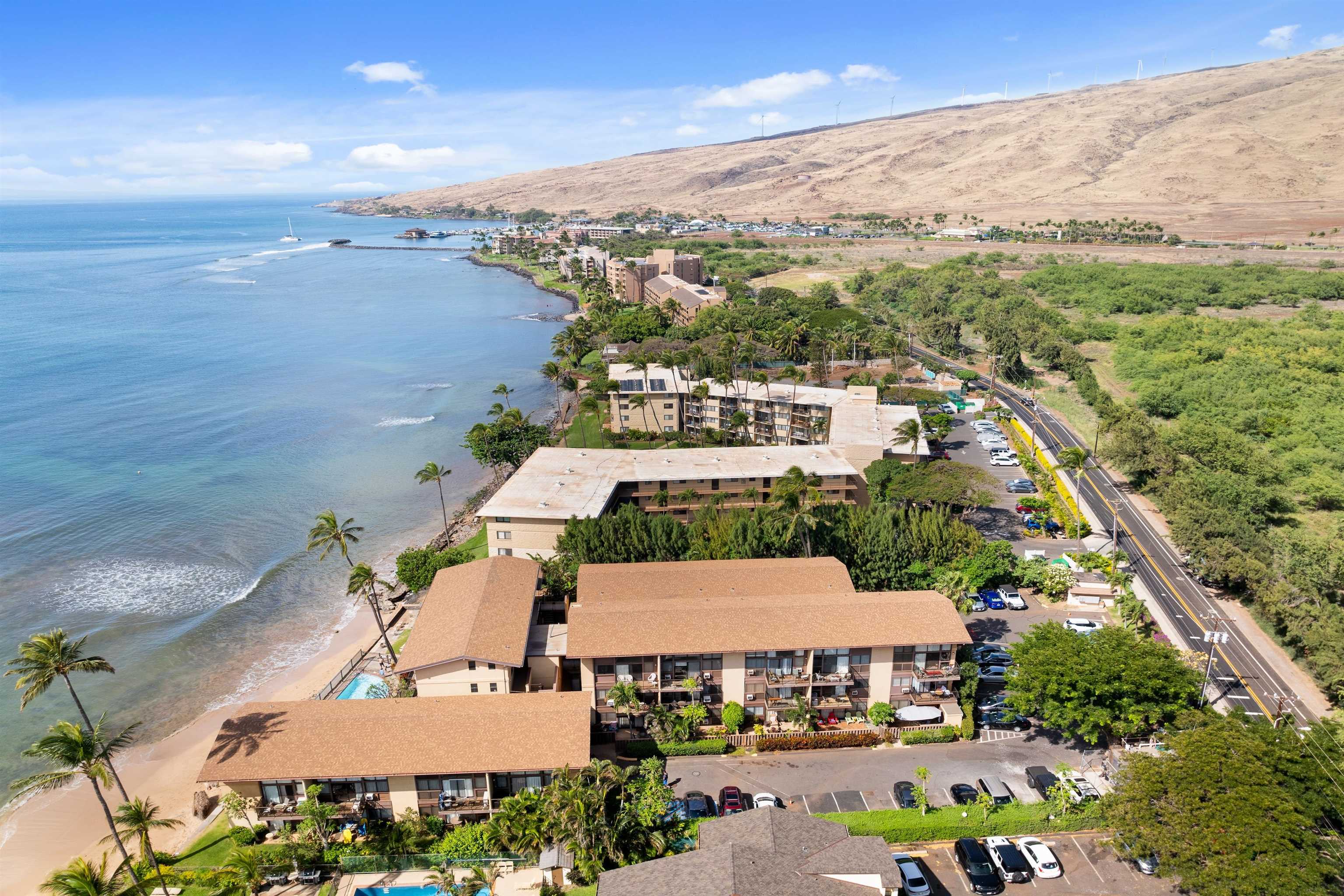 280 HAUOLI St Unit: B10