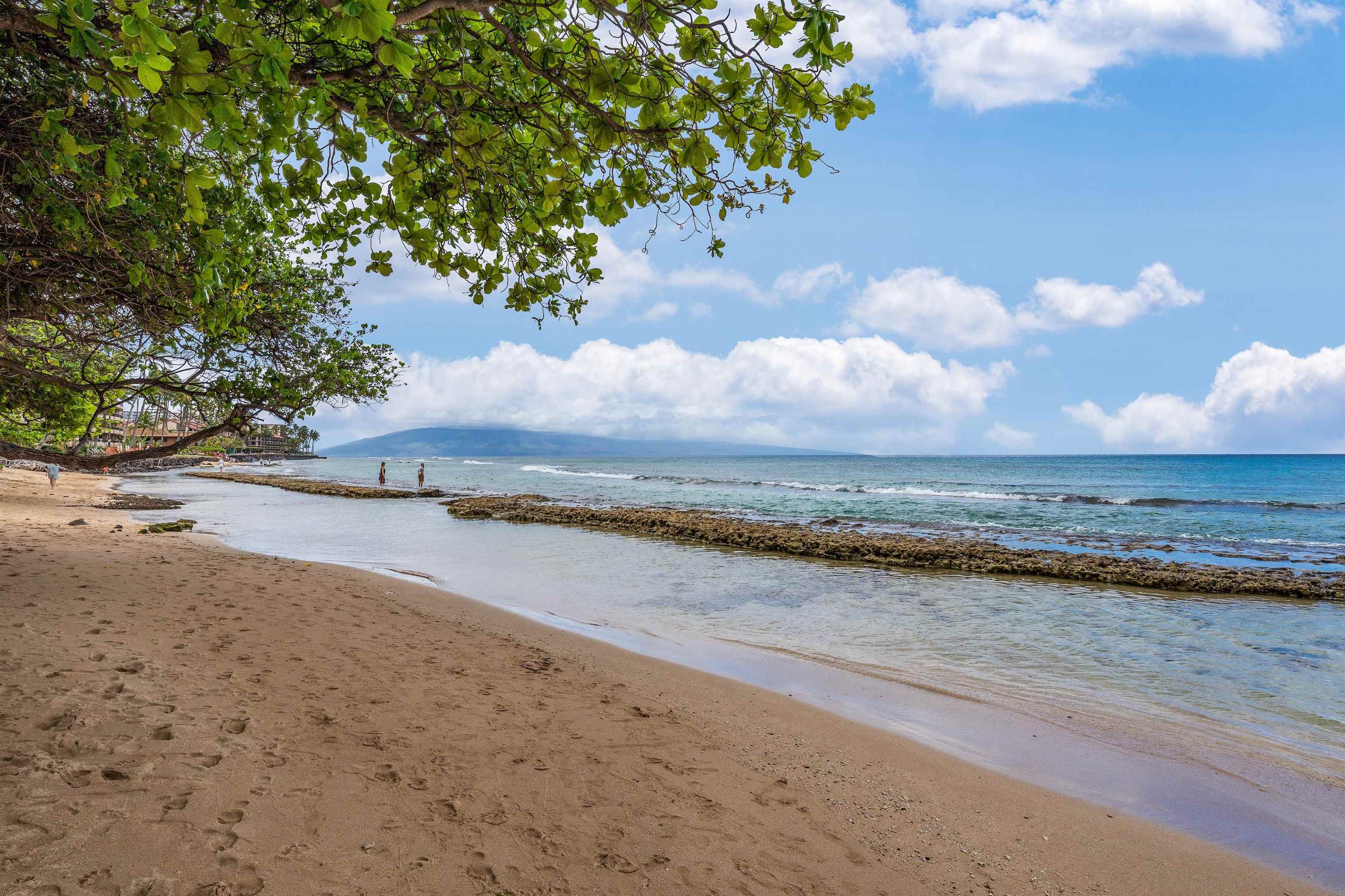 3740 Lower Honoapiilani Rd Unit: A107