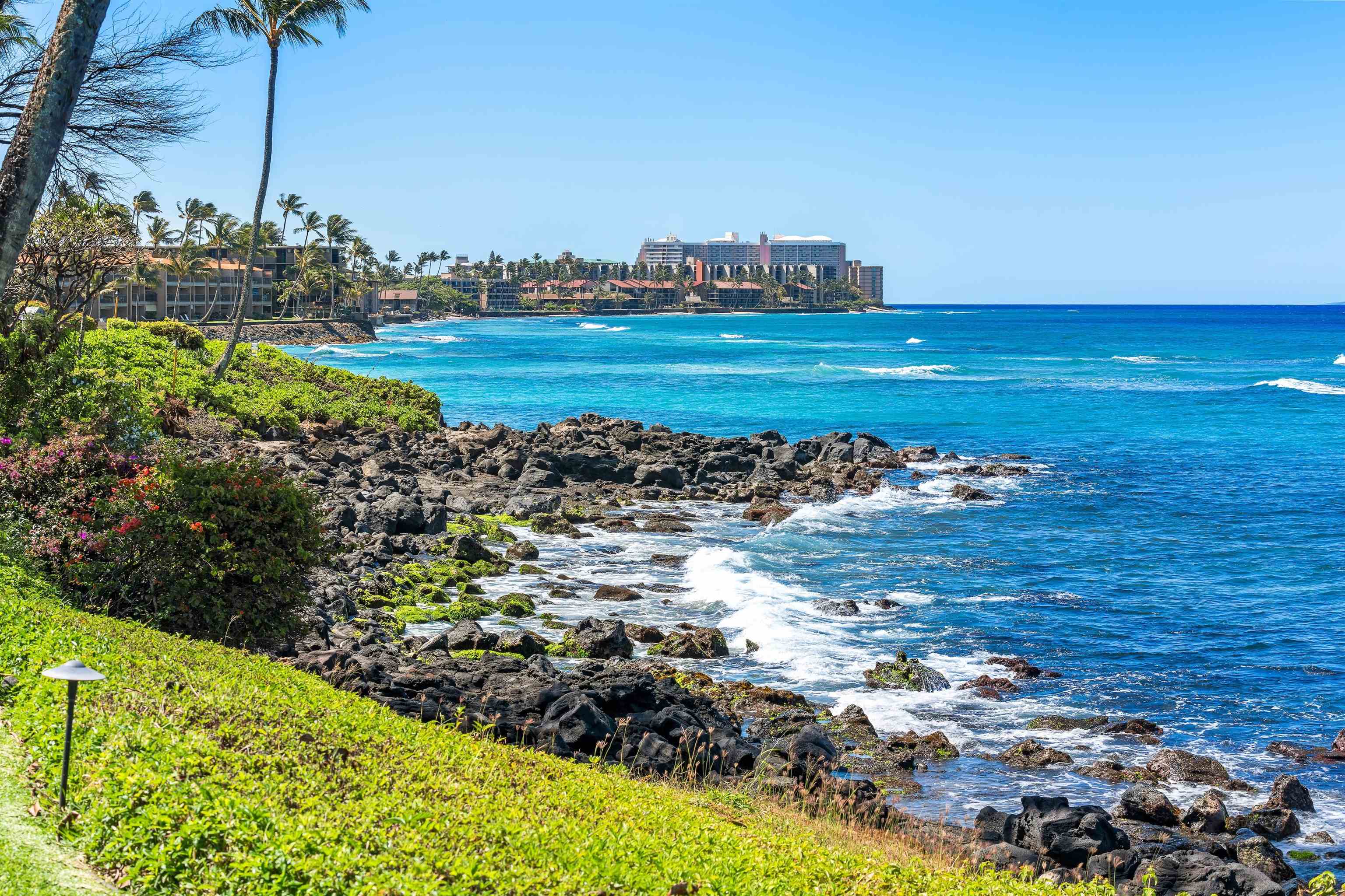 3975 Lower Honoapiilani Rd Unit: 107