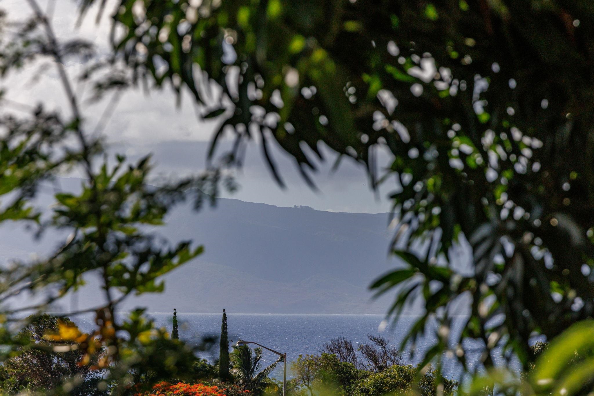 5131 Hanawai St Unit: F