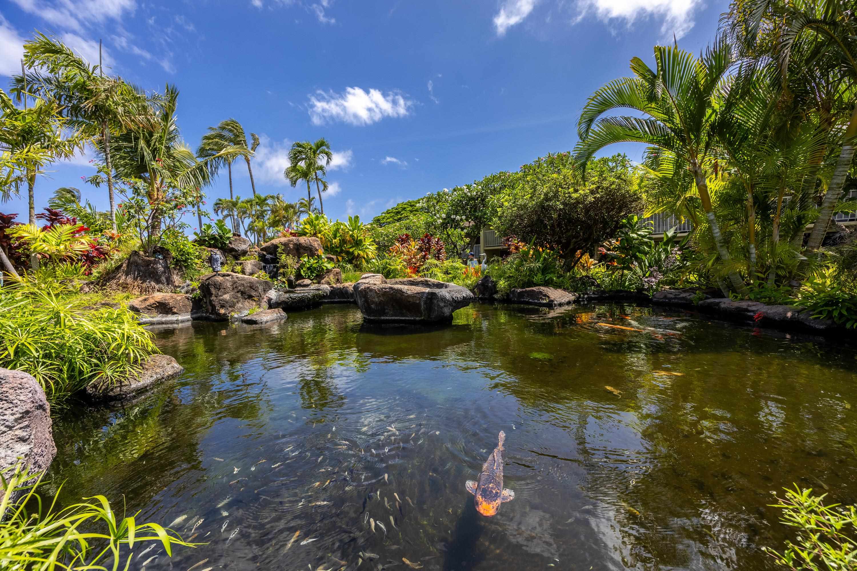 5315 Lower Honoapiilani Rd Unit: G253