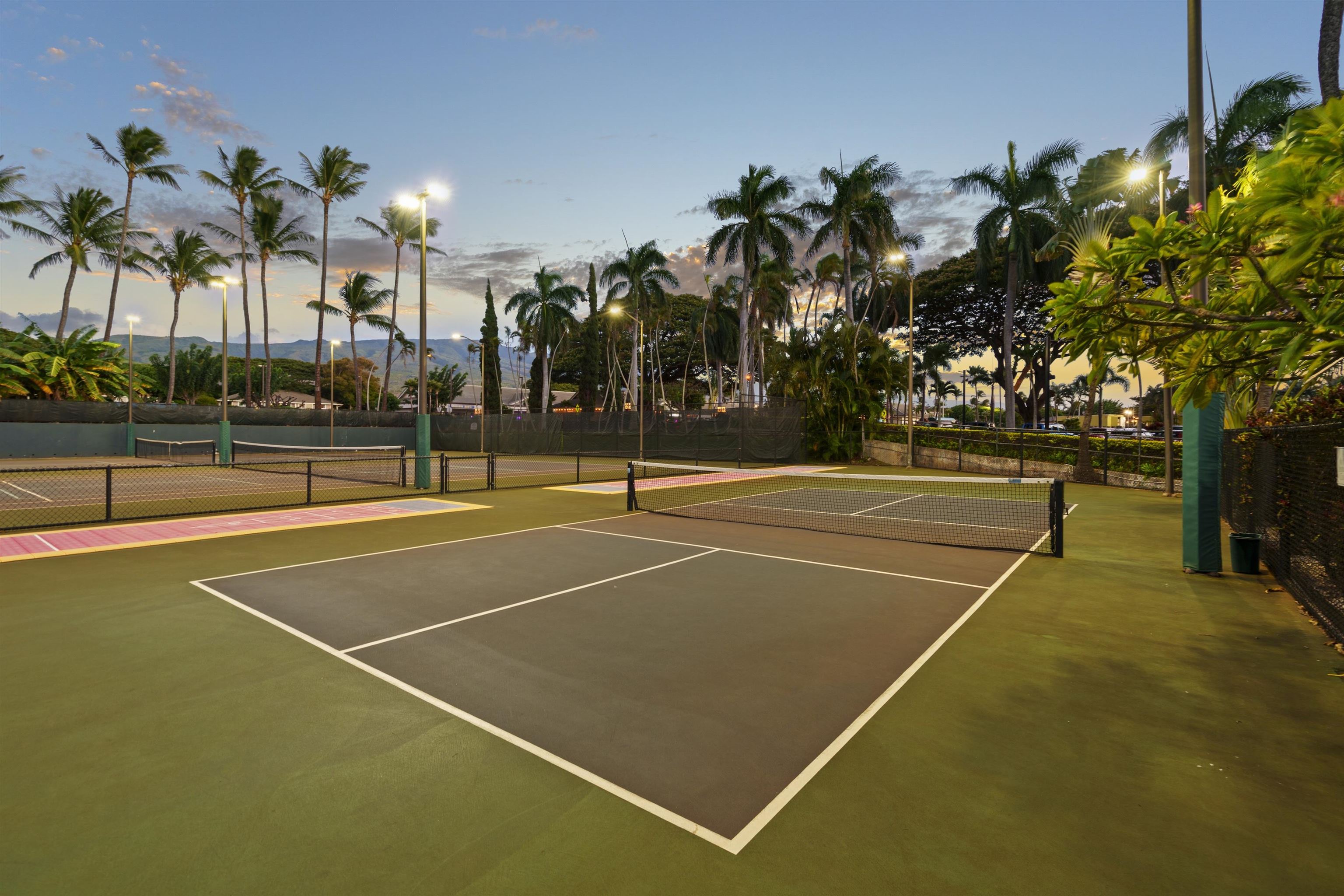 3445 Lower Honoapiilani Rd Unit: 204