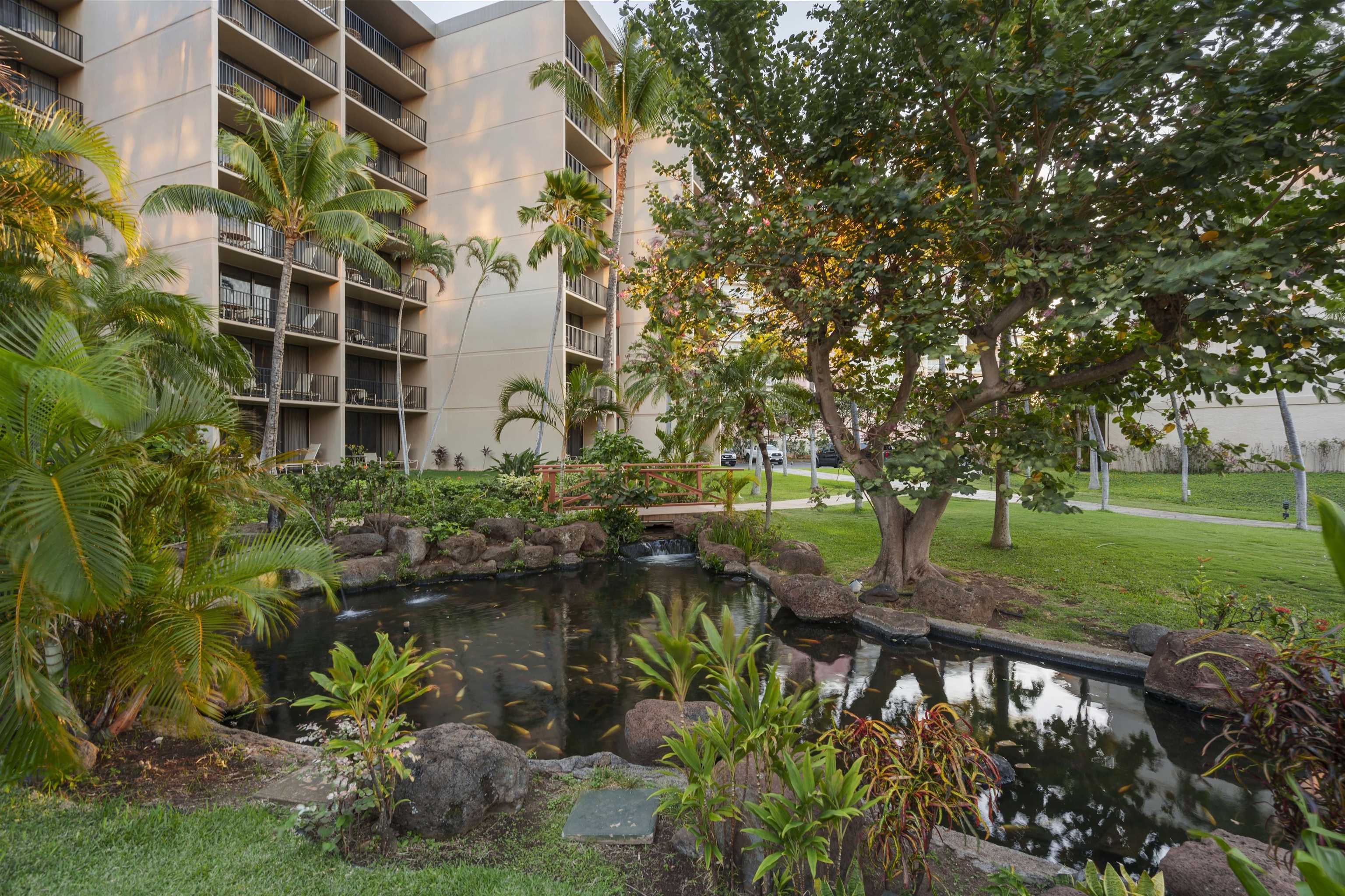 3445 Lower Honoapiilani Rd Unit: 204
