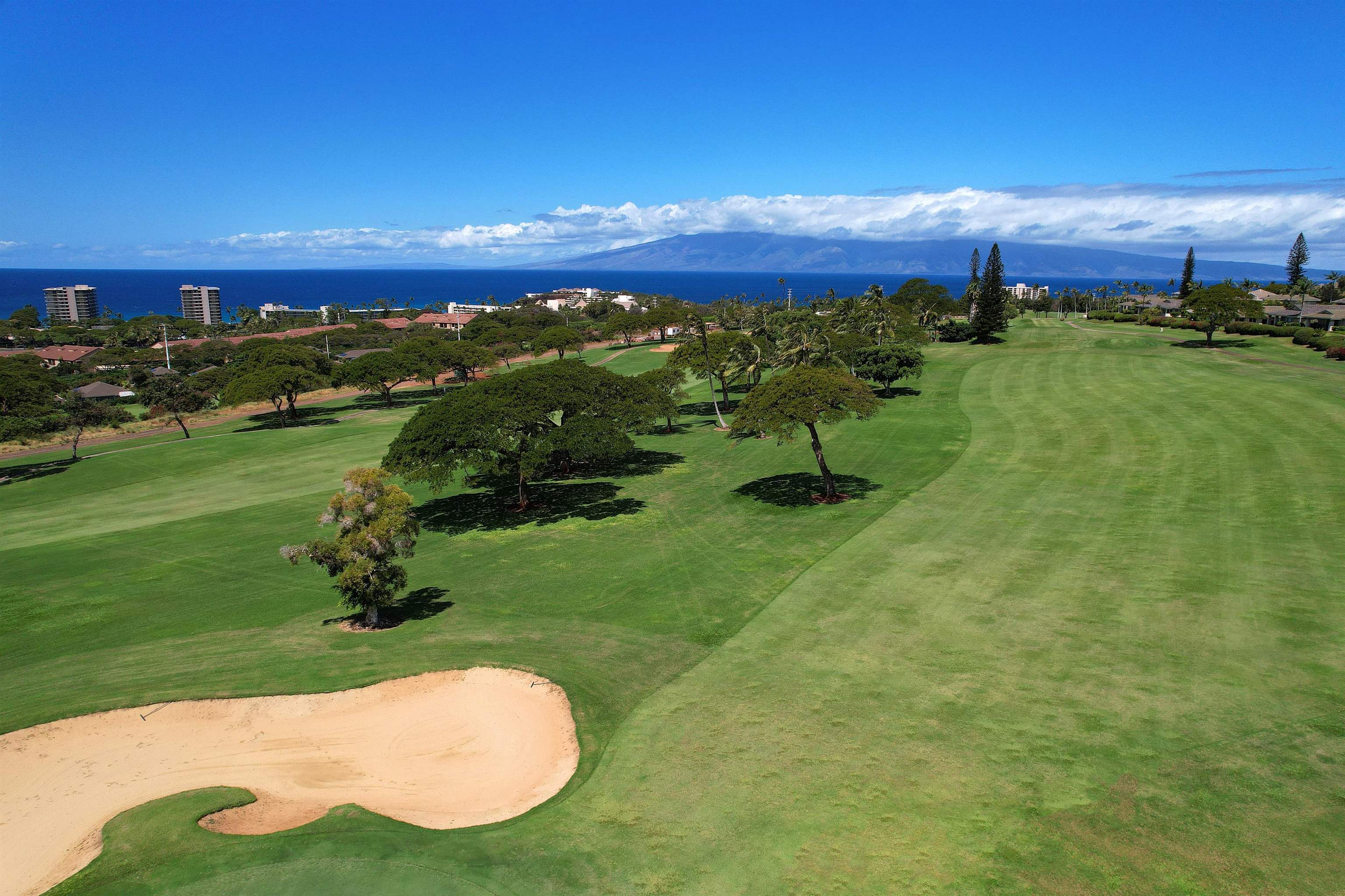 170 Kualapa Pl Unit: Vintage 70