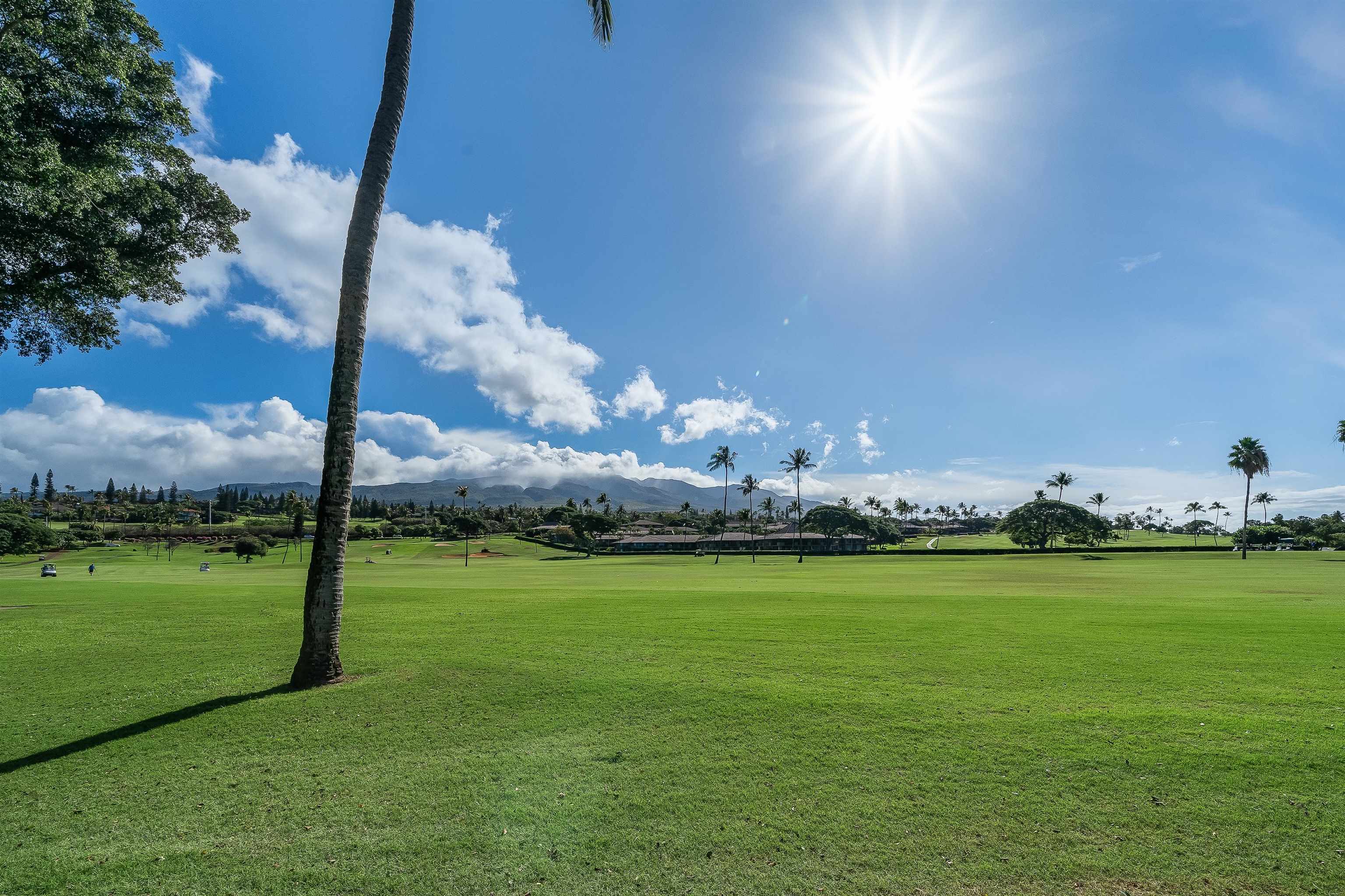 2661 KEKAA Dr Unit: K110