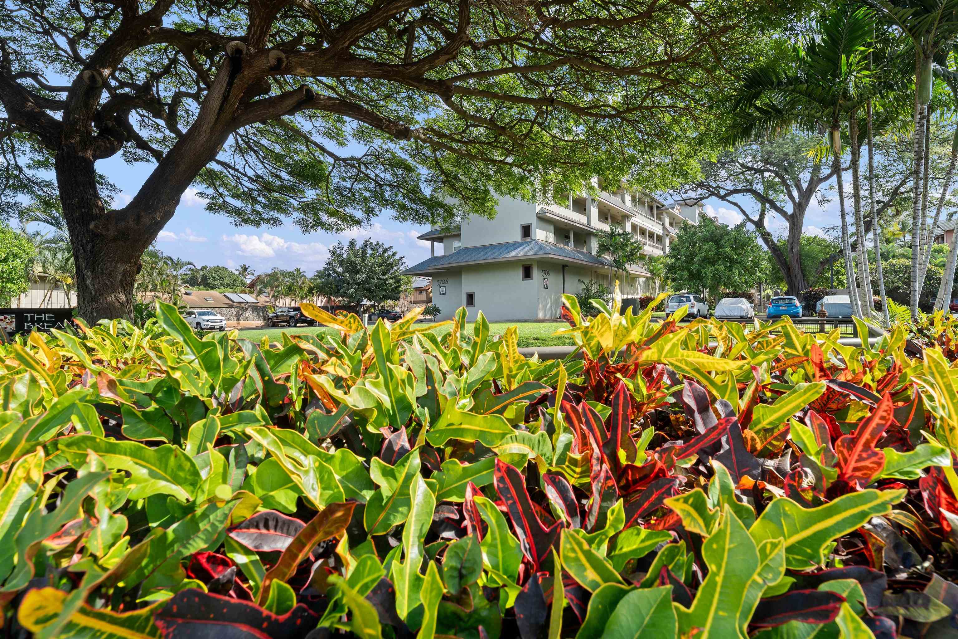 3708 LOWER HONOAPIILANI Rd Unit: E20