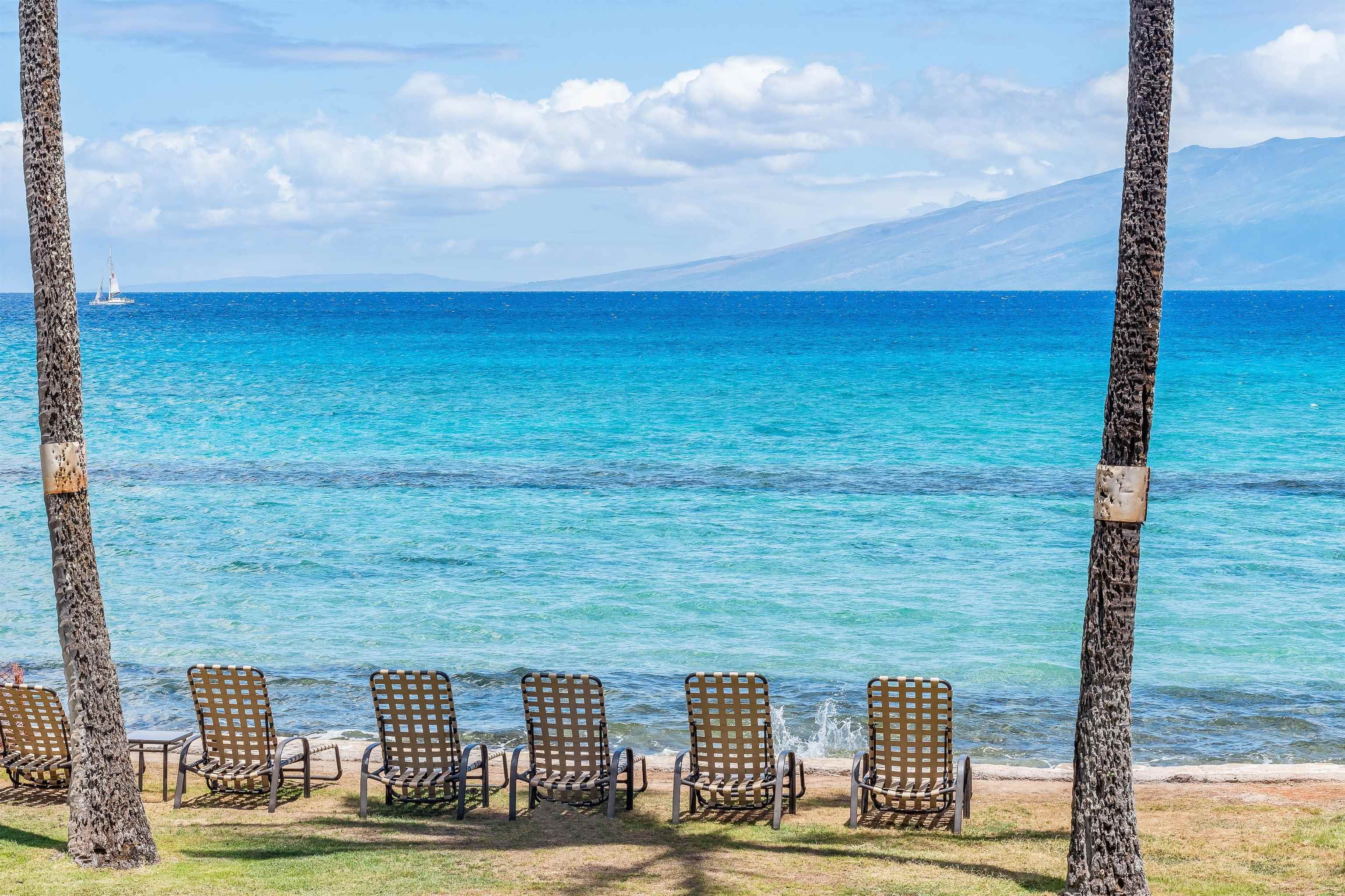 3615 Lower Honoapiilani Rd Unit: 123