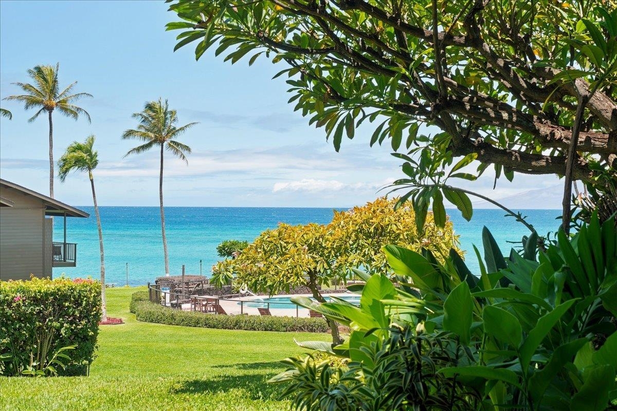 3975 Lower Honoapiilani Rd Unit: 115