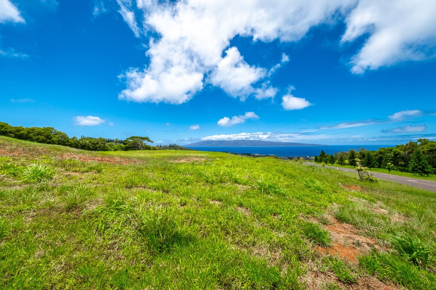 820 Mahana Ridge St Unit: Lot 49