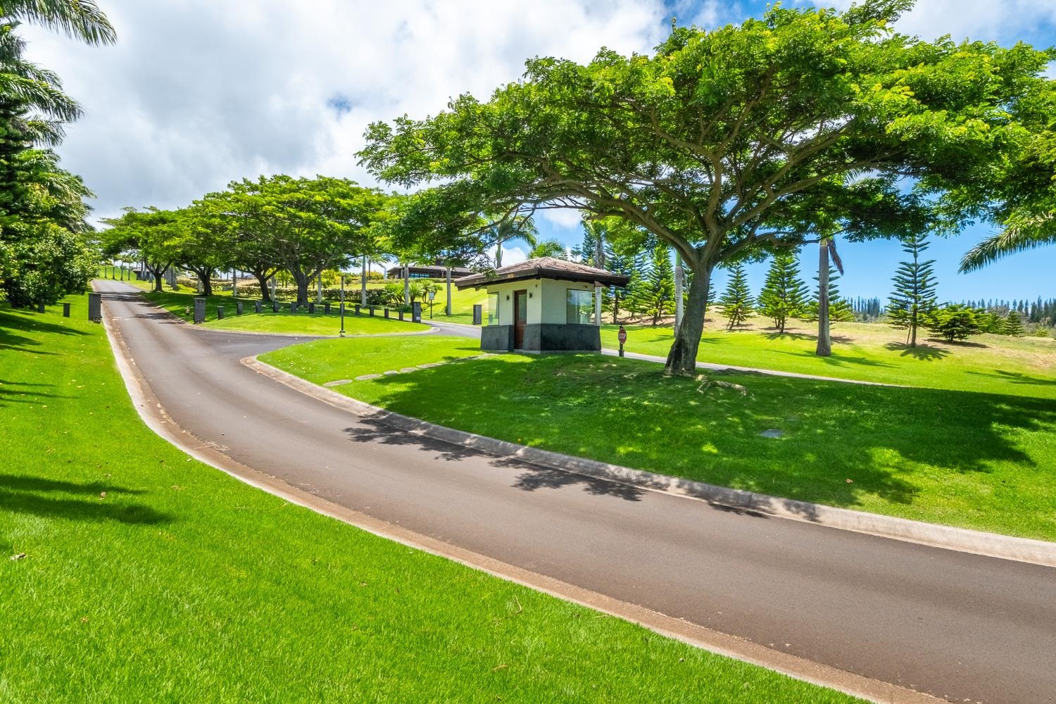 820 Mahana Ridge St Unit: Lot 49