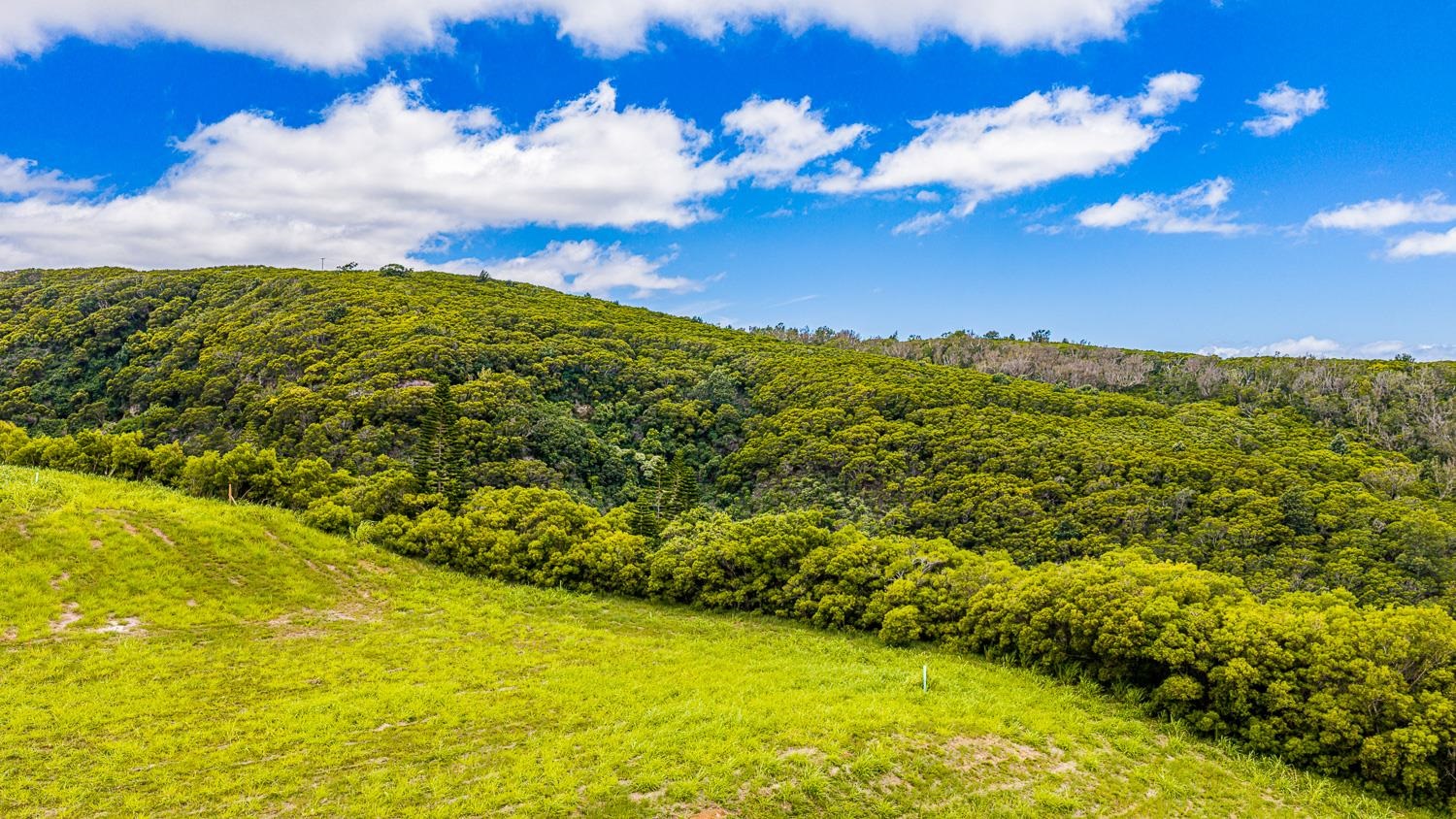 820 Mahana Ridge St Unit: Lot 49