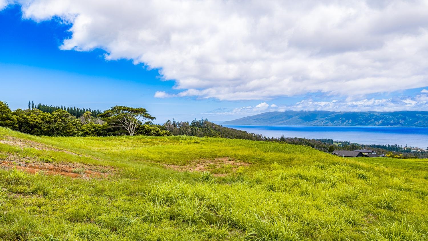 820 Mahana Ridge St Unit: Lot 49