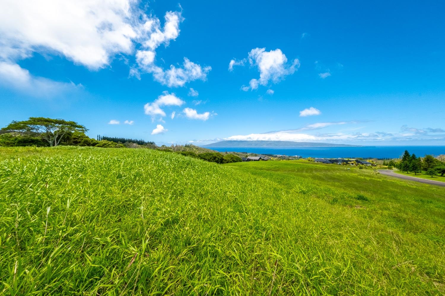 820 Mahana Ridge St Unit: Lot 49
