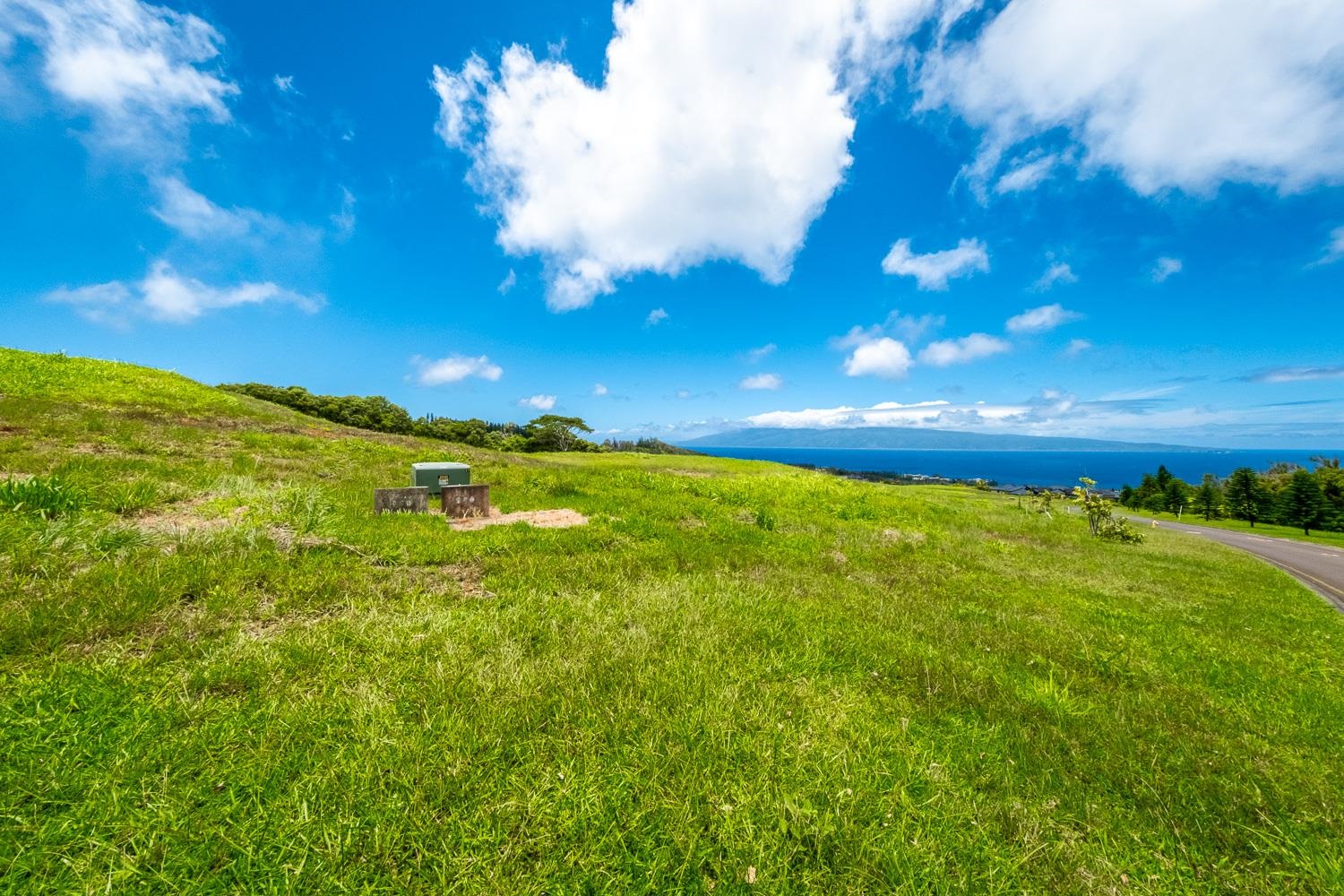 820 Mahana Ridge St Unit: Lot 49