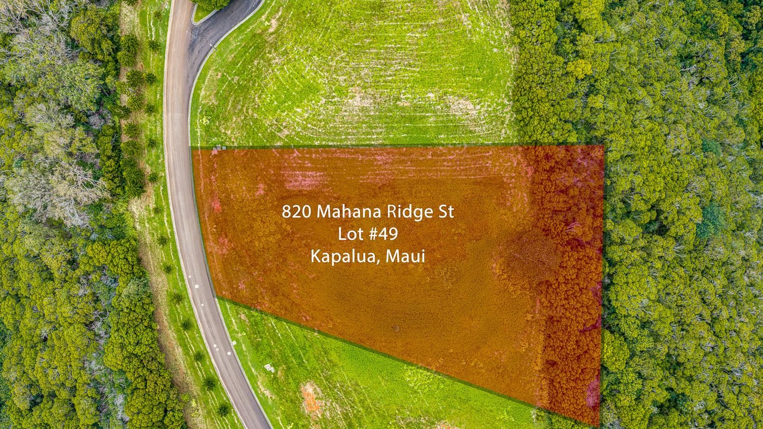 820 Mahana Ridge St Unit: Lot 49